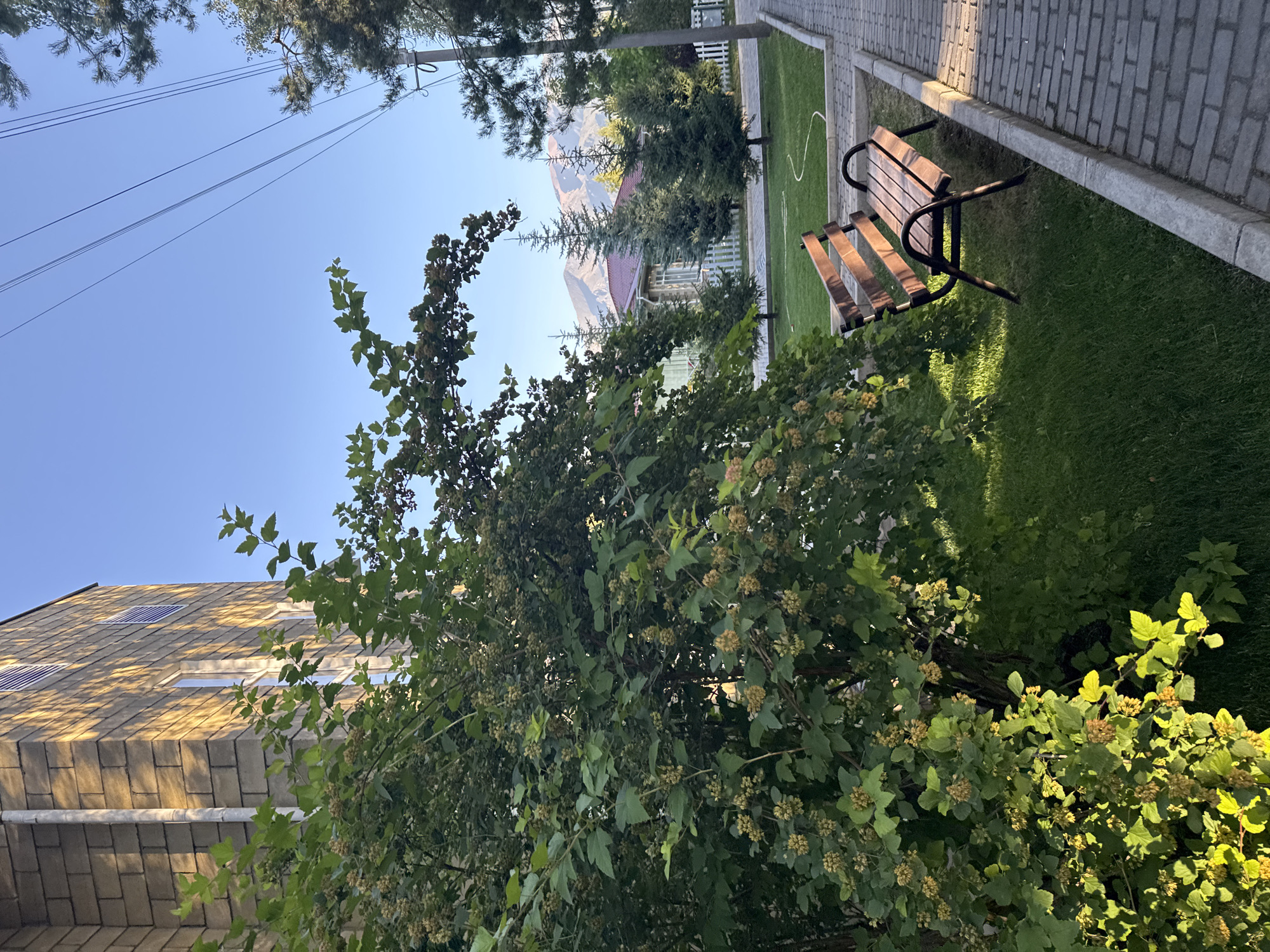 A photograph taken in Sary-Oy, Kyrgyzstan, on a clear day. The scene depicts an outdoor public space with a building on the left, featuring a tan brick facade and windows. In the foreground, a lush green bush with small berries is prominent. To the right of the bush, a wooden park bench with a dark metal frame sits on a manicured lawn next to a paved walkway made of grey bricks. Beyond the bench, a white picket fence encloses a grassy area with several coniferous trees. In the background, a house with a red roof is visible, and further in the distance, majestic mountains under a bright blue sky dominate the horizon. Overhead, power lines stretch across the frame.