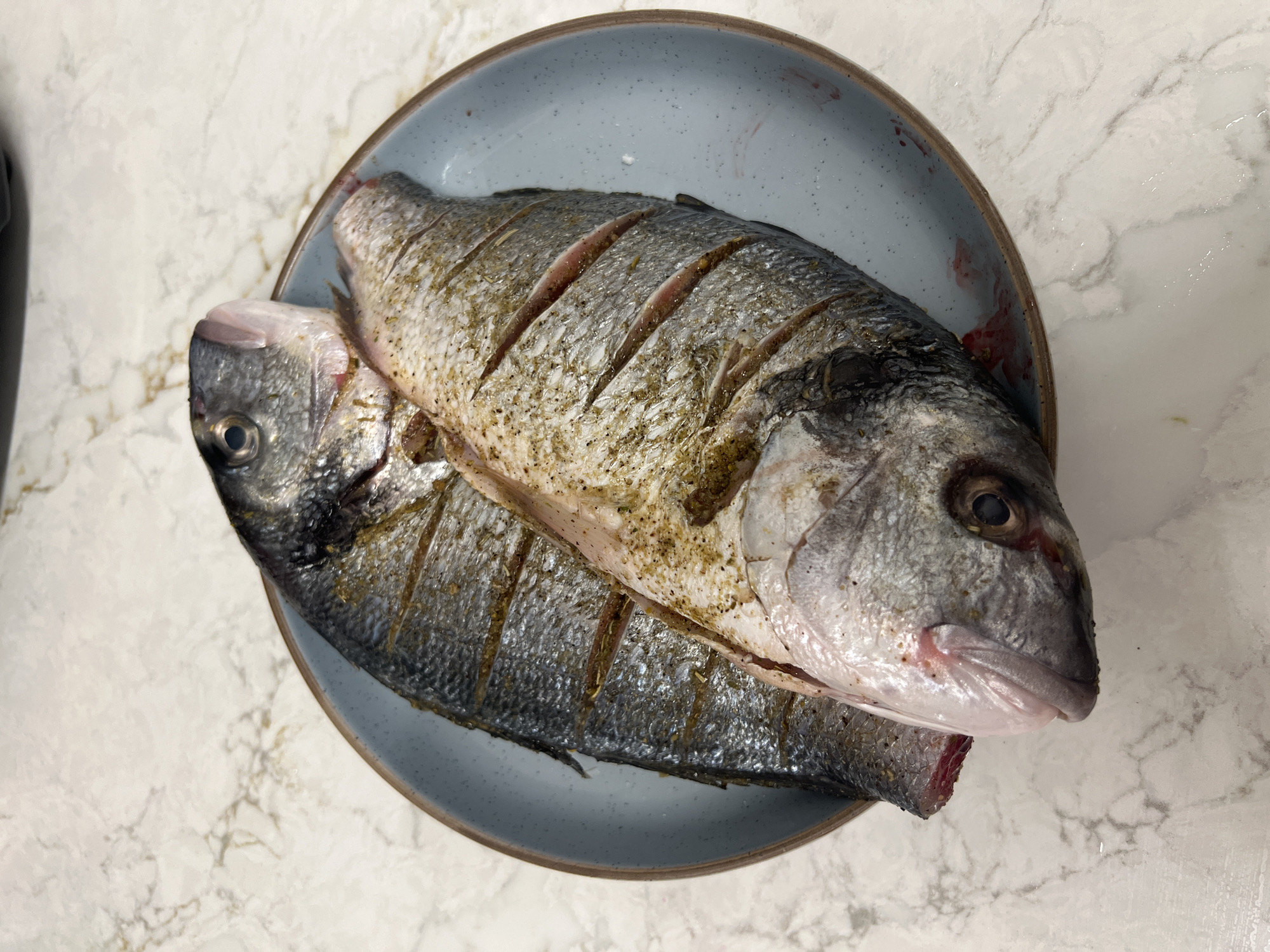 Two uncooked, whole fish are placed on a blue ceramic plate. The fish appear to be sea bream, both scaled and gutted, with diagonal cuts along their bodies and lightly seasoned. The plate sits on a white marble or marble-patterned surface. The image appears to be taken indoors. There is no information that can connect this image to Budva, Montenegro.