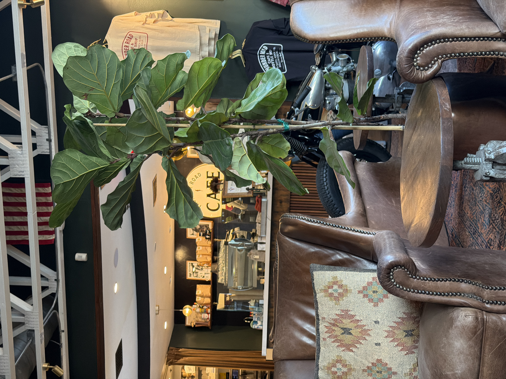 The image depicts an interior shot of the cafe and bottle shop known as Thunder Road, located on Santa Monica Boulevard in West Hollywood, California. The cafe's interior features rustic, brown leather armchairs adorned with decorative studs, with a patterned throw pillow seen on one. In the background, a motorcycle is visible, nestled between the furniture. A potted fiddle-leaf fig plant stands near the seating area, adding a touch of greenery to the scene. Through the plant, a glimpse of the cafe's counter and display shelves can be seen, laden with various products and equipment. Wall decorations such as framed pictures and the cafe's logo, "ROAD CAFE," add character to the establishment. Light fixtures illuminate the scene, enhancing the warm ambiance of the space. In the foreground, a white staircase and a partial view of an American flag are noticeable.