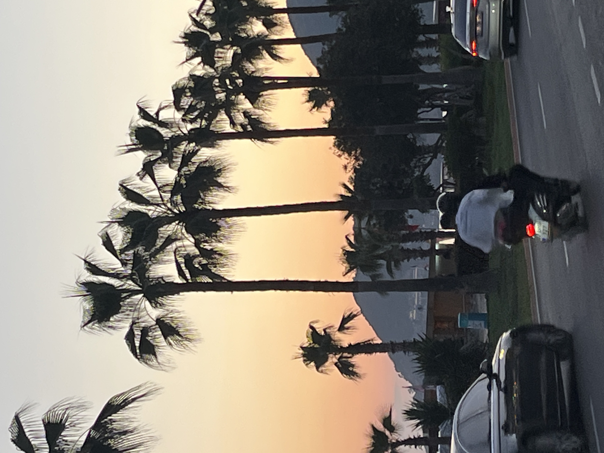 The image depicts a street scene in Alanya, Turkey, at sunset. Palm trees line the road, silhouetted against the orange and yellow sky. Two cars are visible on the right side of the road, and a motorcycle is also present, occupied by two people, one wearing a white shirt. A body of water and mountains can be seen in the background between the trees.
