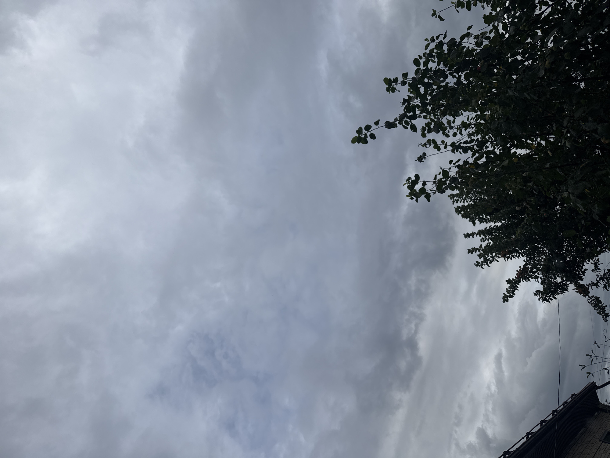 A low-angle, medium shot captures a cloudy sky with the tops of trees in the foreground. The clouds are dense and gray, with some lighter patches indicating breaks in the overcast. The trees are lush and green, with some branches reaching upwards into the sky. The left side of the image shows the edge of a building with a dark roof. The overall mood is somber and atmospheric.