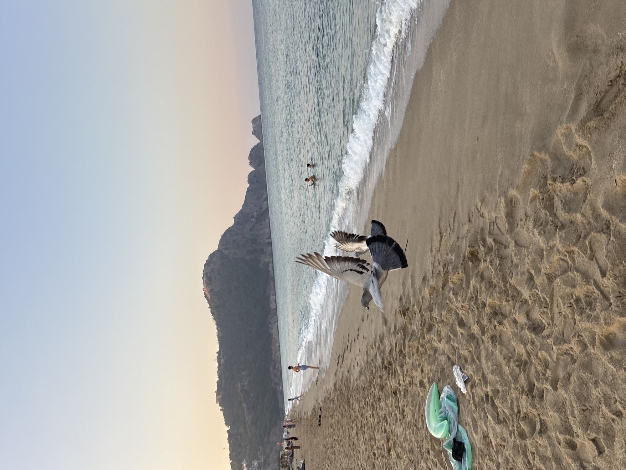 An aerial view of a beach in Alanya, Turkey, at dusk. The sand is a light brown, with footprints and some scattered items. In the foreground, two pigeons are in mid-flight, their wings outstretched. The sea is a clear blue with gentle waves lapping at the shore. In the distance, a lush green mountain dominates the horizon, with buildings visible on its slopes and a fortress at its summit. A few people are scattered along the beach and in the water. The sky is a soft gradient of orange and blue.