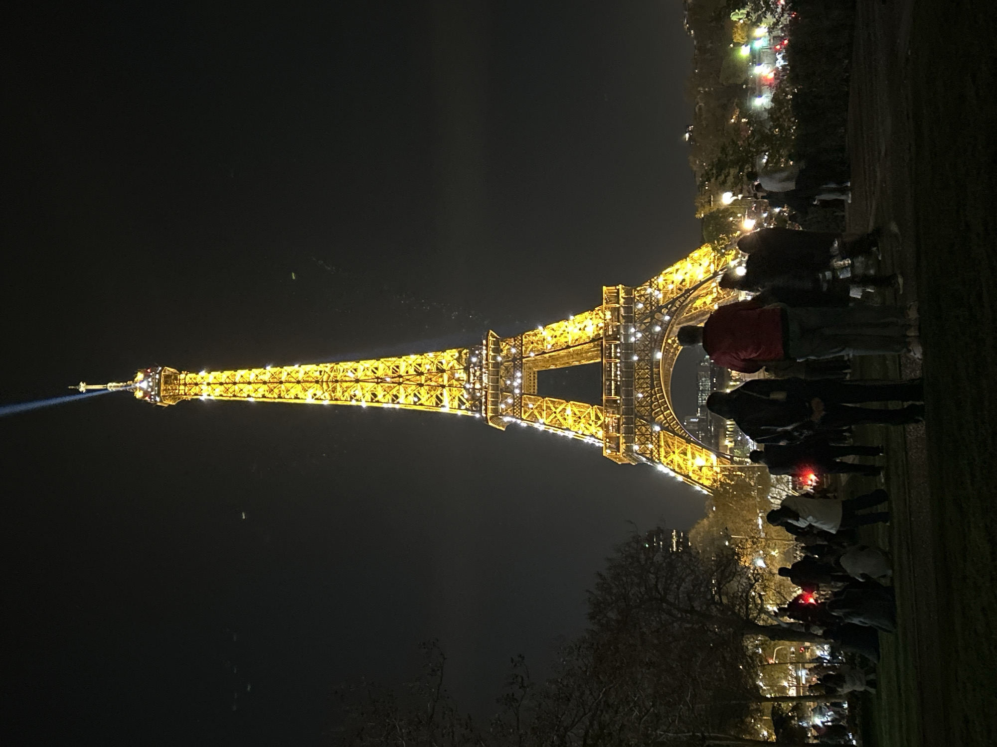 At night, the Eiffel Tower in Paris, France, is illuminated with yellow lights. A beam of light extends from the top of the tower. People stand on a dark grassy area in the foreground, facing the tower. Trees and city lights are visible in the background.