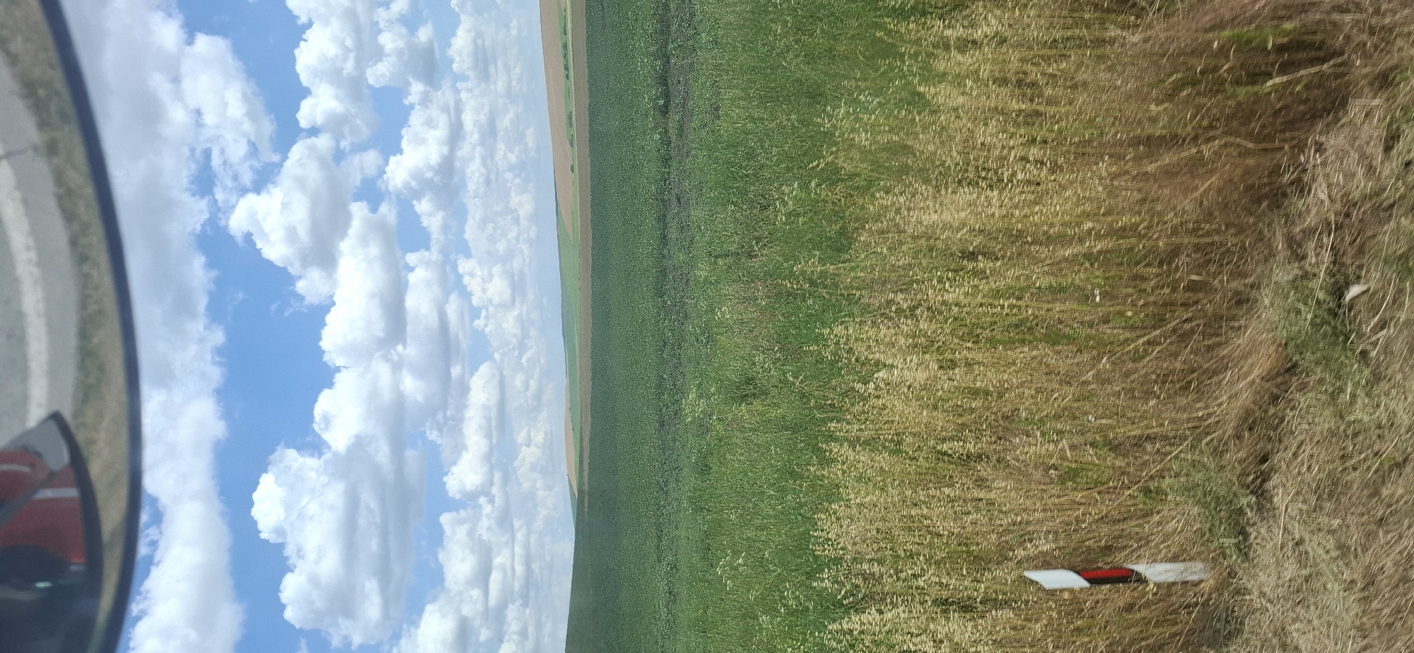 The image depicts a vast, green agricultural landscape under a partly cloudy sky, observed from a slightly elevated, moving viewpoint, possibly from a vehicle. In the foreground, dry, straw-like grass and a white road marker with red reflective elements are visible. The landscape unfolds into rolling hills covered by different crops. The closest large field is a vibrant green, appearing to be densely planted. Further in the distance, fields transition to lighter greens and then to shades of brown or tan, suggesting different stages of growth or cultivation. The sky is a bright blue, dotted with fluffy white cumulus clouds. The overall impression is one of rural agricultural land in a temperate climate during daytime. This scene is located in or near the city of Karaisen, Bulgaria.