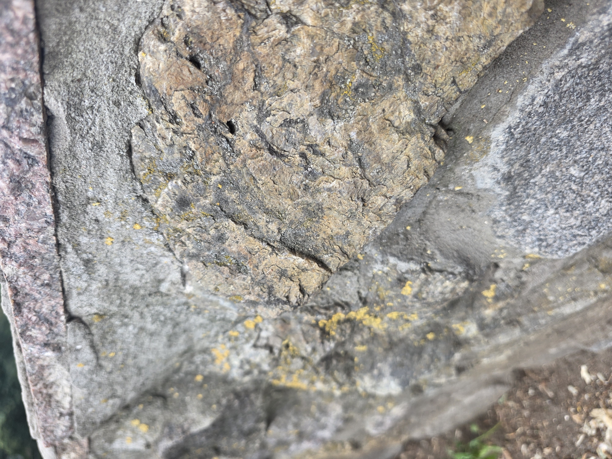 This is a close-up, ground-level, eye-level shot of a weathered stone wall. The wall is constructed of irregular, rough-textured stones of various gray and brown hues, with some patches of yellow lichen. A thin, pinkish-red stone runs along the top edge of the wall, and mortar is visible in some areas where the stones meet. The background is out of focus, showing hints of green foliage and brown earth, suggesting an outdoor environment. The image appears to be a detail shot of a section of a stone wall, possibly in a park or garden setting, and does not contain any discernible information about a specific location in Kyiv, Ukraine.