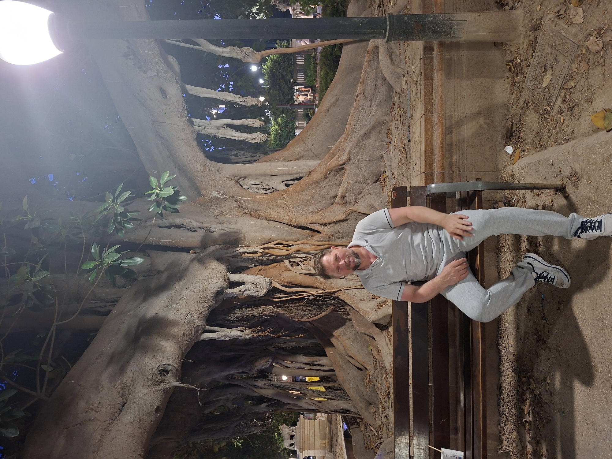 A medium-shot, eye-level, full-body photograph shows a man sitting on a wooden park bench in front of a large banyan tree. The man has light skin, a beard, and short brown hair. He is wearing a light gray polo shirt and light gray sweatpants, and white and gray athletic shoes. His hands are resting on his lap, and he is looking at the camera with a slight smile. The banyan tree behind him has a massive trunk and large, exposed roots, with hanging aerial roots. The background shows a lamppost, lush green bushes, and a stone balustrade. The ground is covered with dirt and fallen leaves. The lighting suggests it is dusk or nighttime. This scene is located in the Explanada de España in Alicante, Spain, specifically in front of the iconic "El Palmeral" or the area where the large banyan tree is situated.