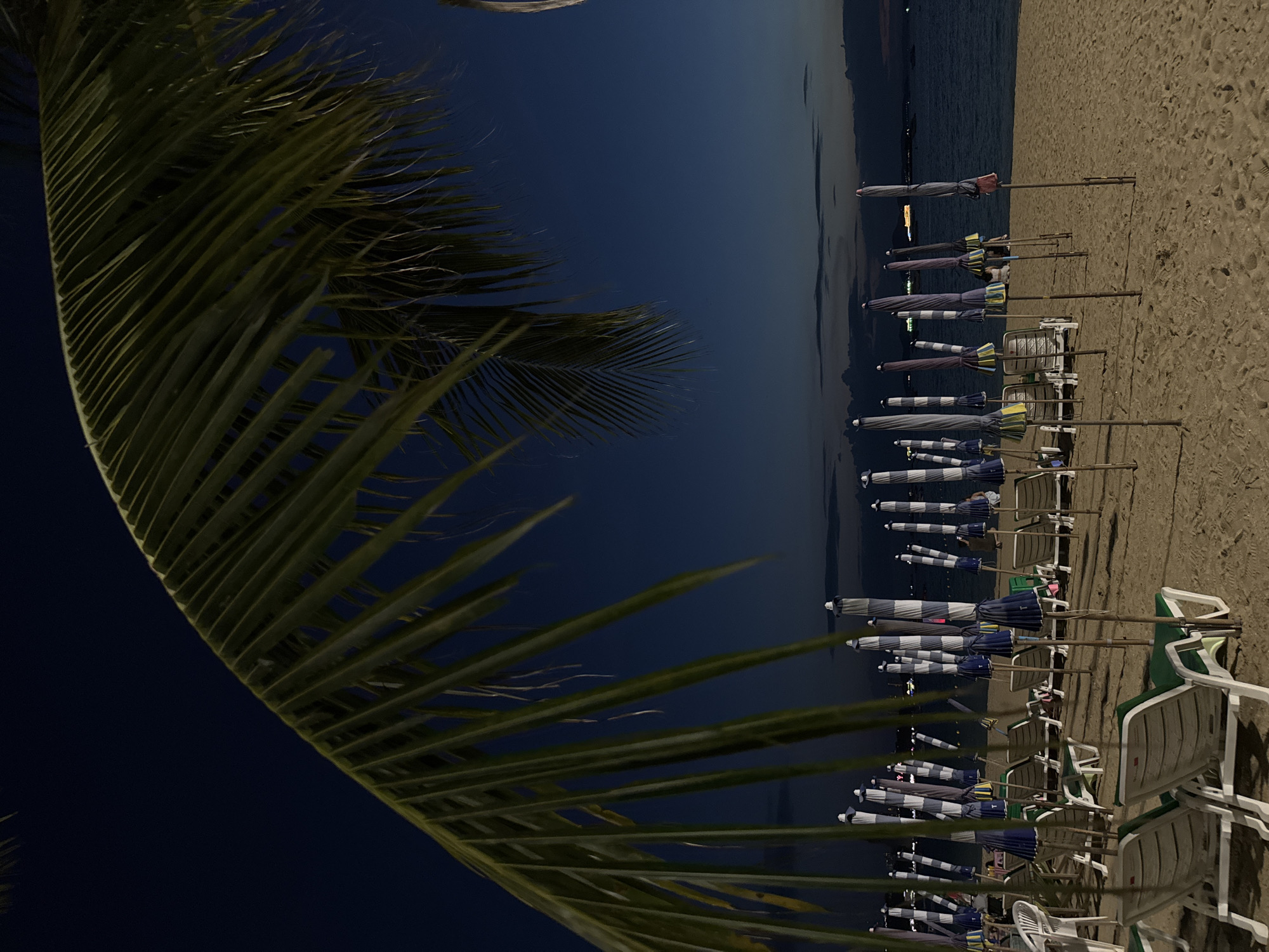 At night, a beach in Pattaya City, Thailand, is depicted with a prominent palm frond in the foreground, partially obscuring the view. Rows of beach chairs and closed umbrellas are arranged on the sand. The sky is a deep blue, transitioning to a darker hue near the horizon. The ocean is visible in the background, with faint lights from distant boats or the city along the coastline. The overall atmosphere is calm and serene, suggesting the end of a day at the beach.