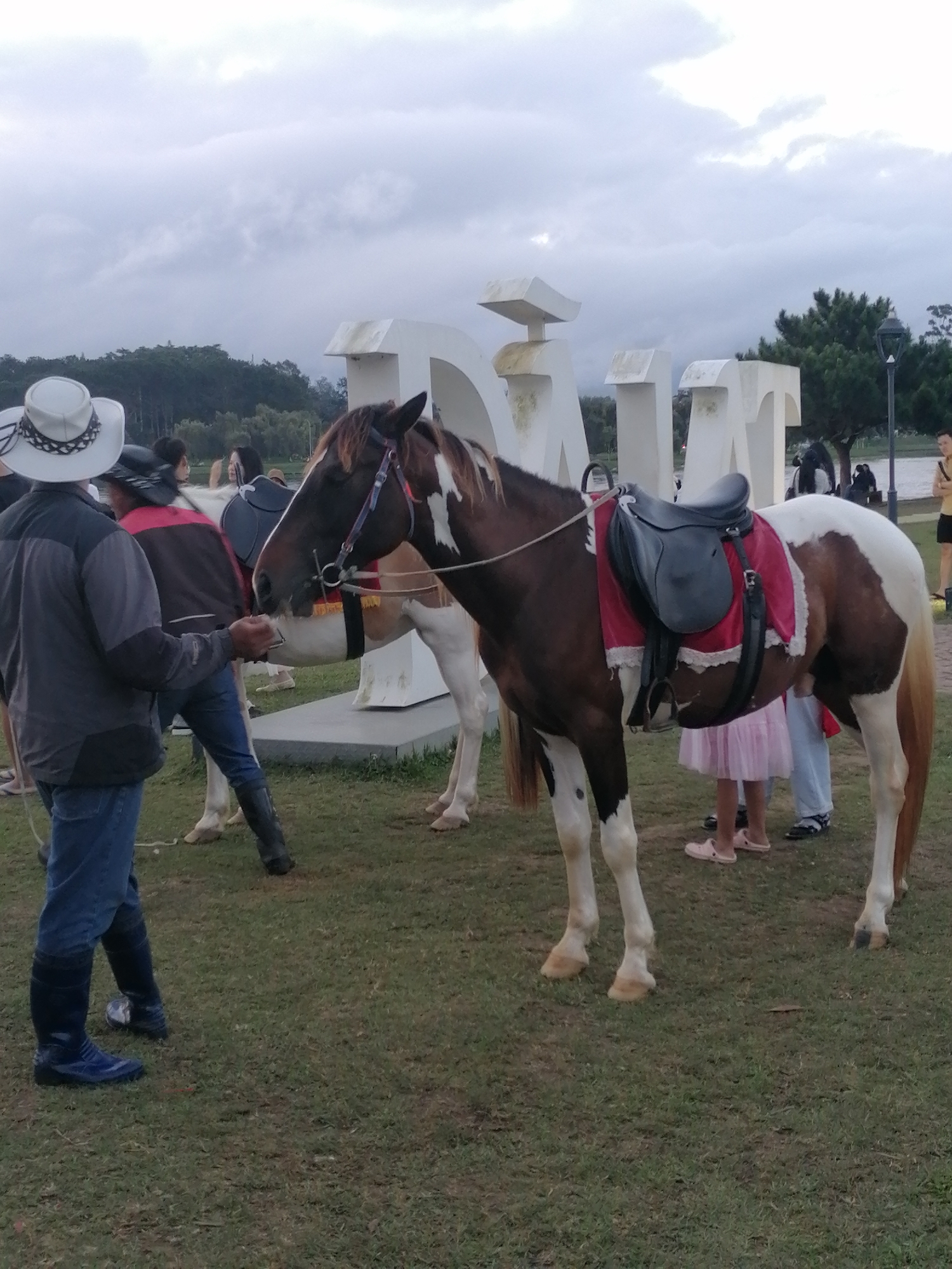 This image depicts an outdoor scene in Da Lat, Vietnam, likely near the "Da Lat" signage visible in the background. In the foreground, a brown and white painted horse is saddled and stands on a grassy area, facing right. A person wearing a cowboy hat and a grey jacket with blue jeans and dark boots stands to the left of the horse, interacting with it. Behind this horse, another horse, mostly white, is partially visible. In the mid-ground, behind the horses, there are other people, some appearing to be children, and the large, white, three-dimensional letters spelling "DALAT". The environment is overcast with a cloudy sky and some trees in the background. The ground is covered in green grass.