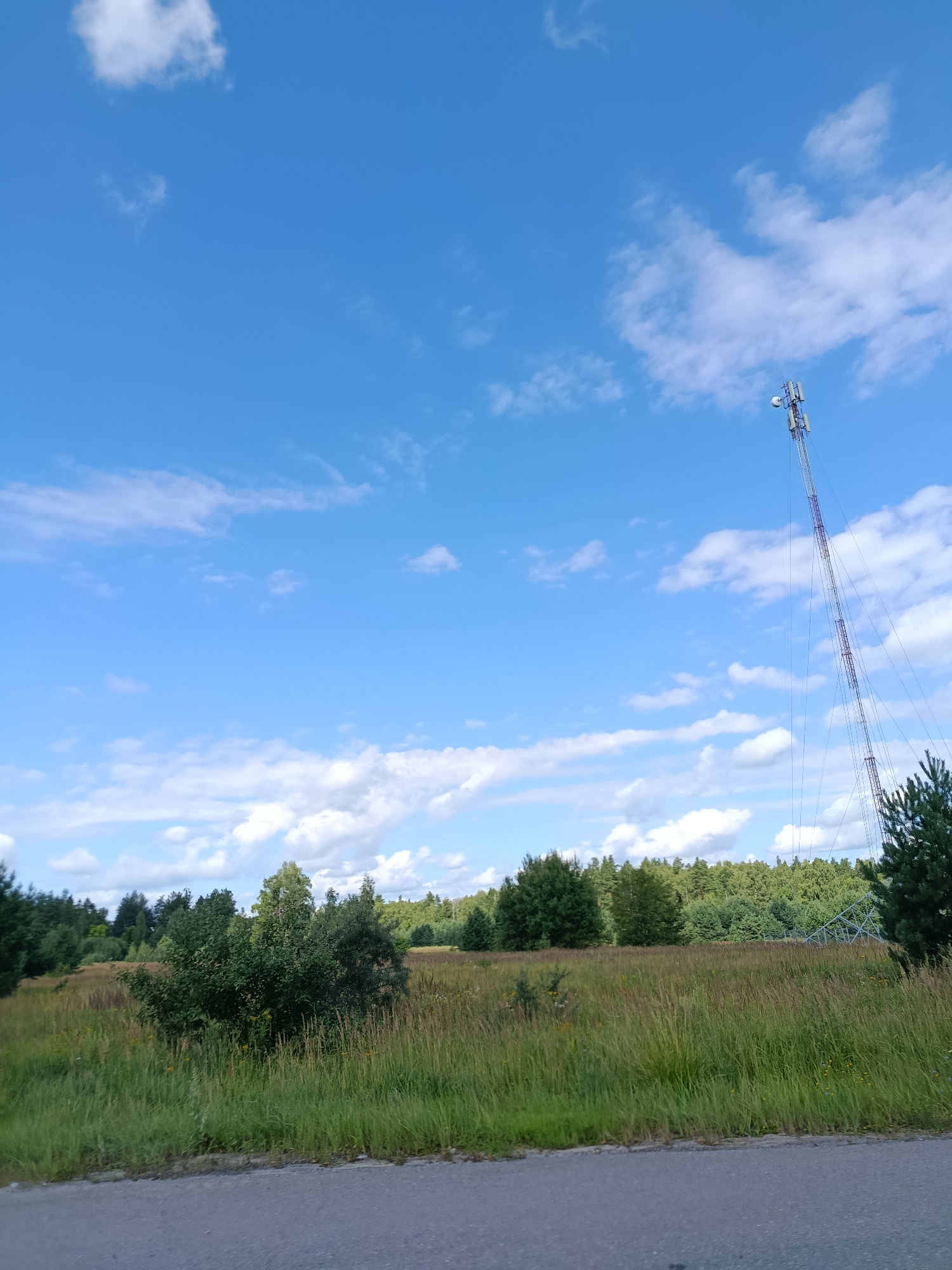 An outdoor medium shot captures a cell tower against a backdrop of a bright blue sky with scattered white clouds. The tower, a prominent vertical structure with antennas at its apex, is positioned on the right side of the frame. Below the sky, a line of trees forms a dense forest, with a meadow of tall green grass in the foreground. The terrain appears to be undeveloped, with a paved road visible in the lower portion of the image. The scene is devoid of human presence and activity.