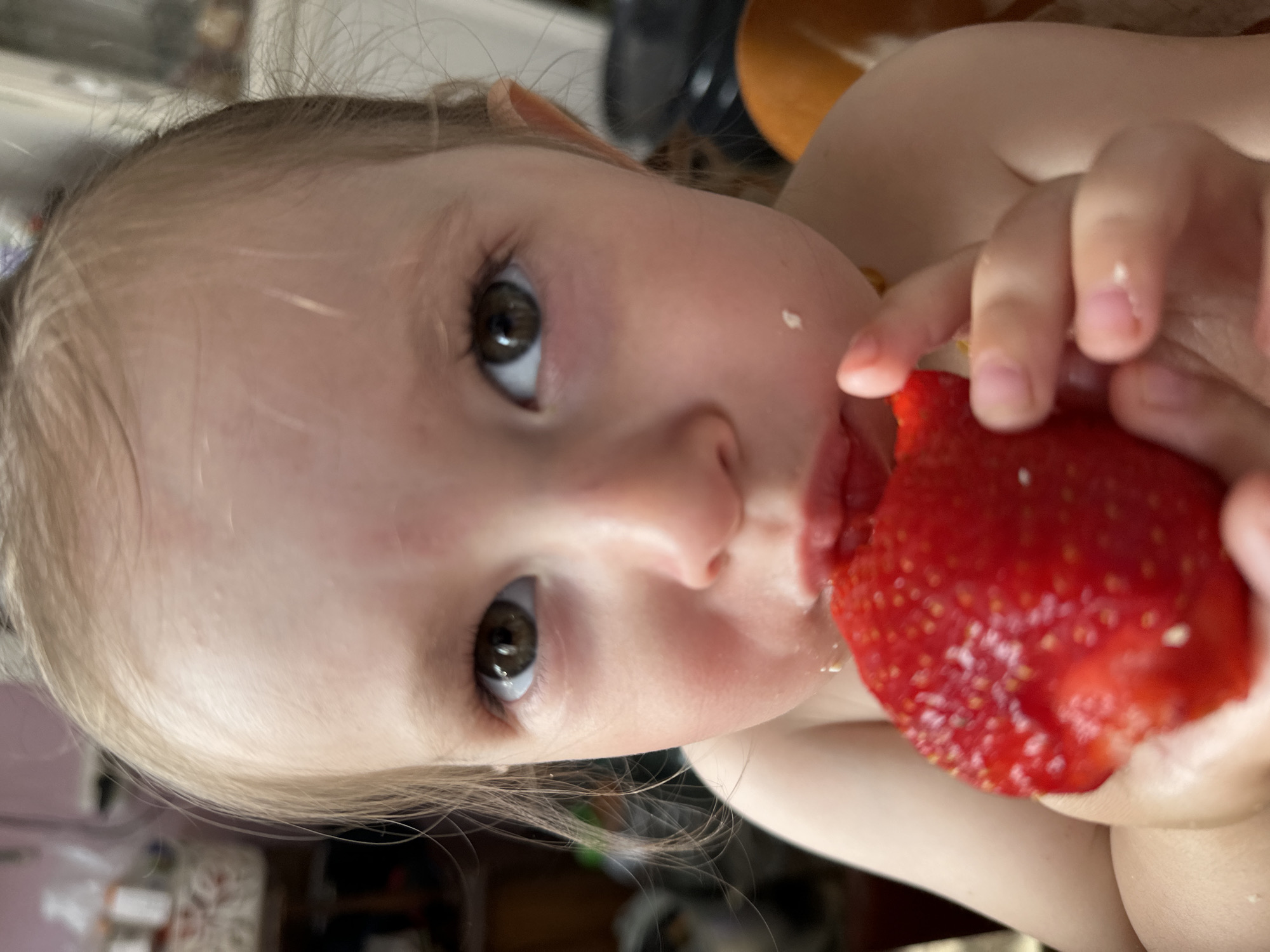 A close-up, eye-level shot shows a young child, likely female due to the presence of blonde hair, holding a large, ripe strawberry to her mouth. The child's face is the primary focus, with her dark brown eyes looking directly into the camera. Her lips are slightly parted, with a small amount of white residue visible on her cheek, suggesting she has been eating. The strawberry is bright red and appears juicy, with visible seeds. The child's hands are holding the strawberry, with one hand supporting the bottom and the other near her mouth. Her shoulders and upper chest are bare. The background is softly blurred, with hints of household objects, suggesting an indoor setting, possibly a kitchen or dining area, in Yaroslavka, Russia. The lighting is natural, illuminating the child's face and the strawberry.