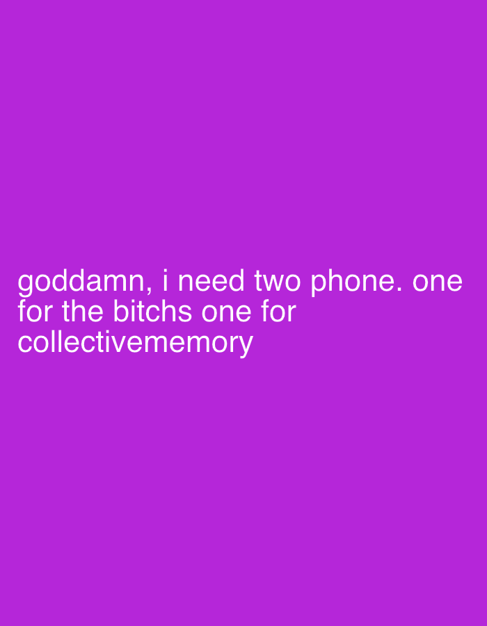 A vibrant purple background displays a humorous text message. The message reads, "goddamn, i need two phone. one for the bitchs one for collectivememory". The text is written in white, contrasting against the purple background, emphasizing the message's playful tone. The font is simple and easily readable, enhancing the overall clarity and straightforward nature of the image.