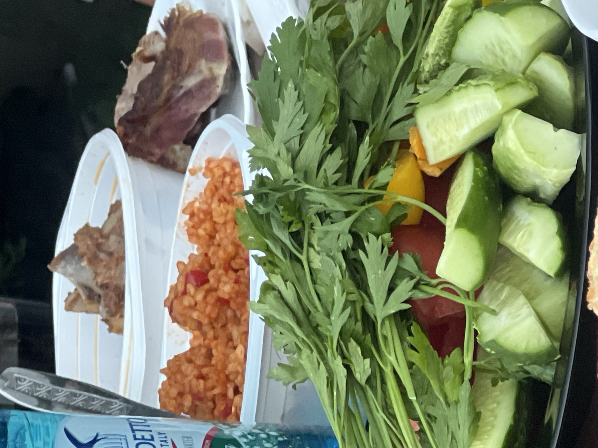A close-up, eye-level shot showcases a platter of sliced cucumbers, parsley, and other vegetables in the foreground, with a bottle of San Benedetto mineral water on the left. In the background, there are two white plastic containers filled with rice and meat, along with a plate of cooked meat. The scene appears to be an outdoor gathering, possibly a picnic or barbecue, in Bender, Moldova. The lighting suggests it is daytime, and the overall atmosphere is casual and relaxed.