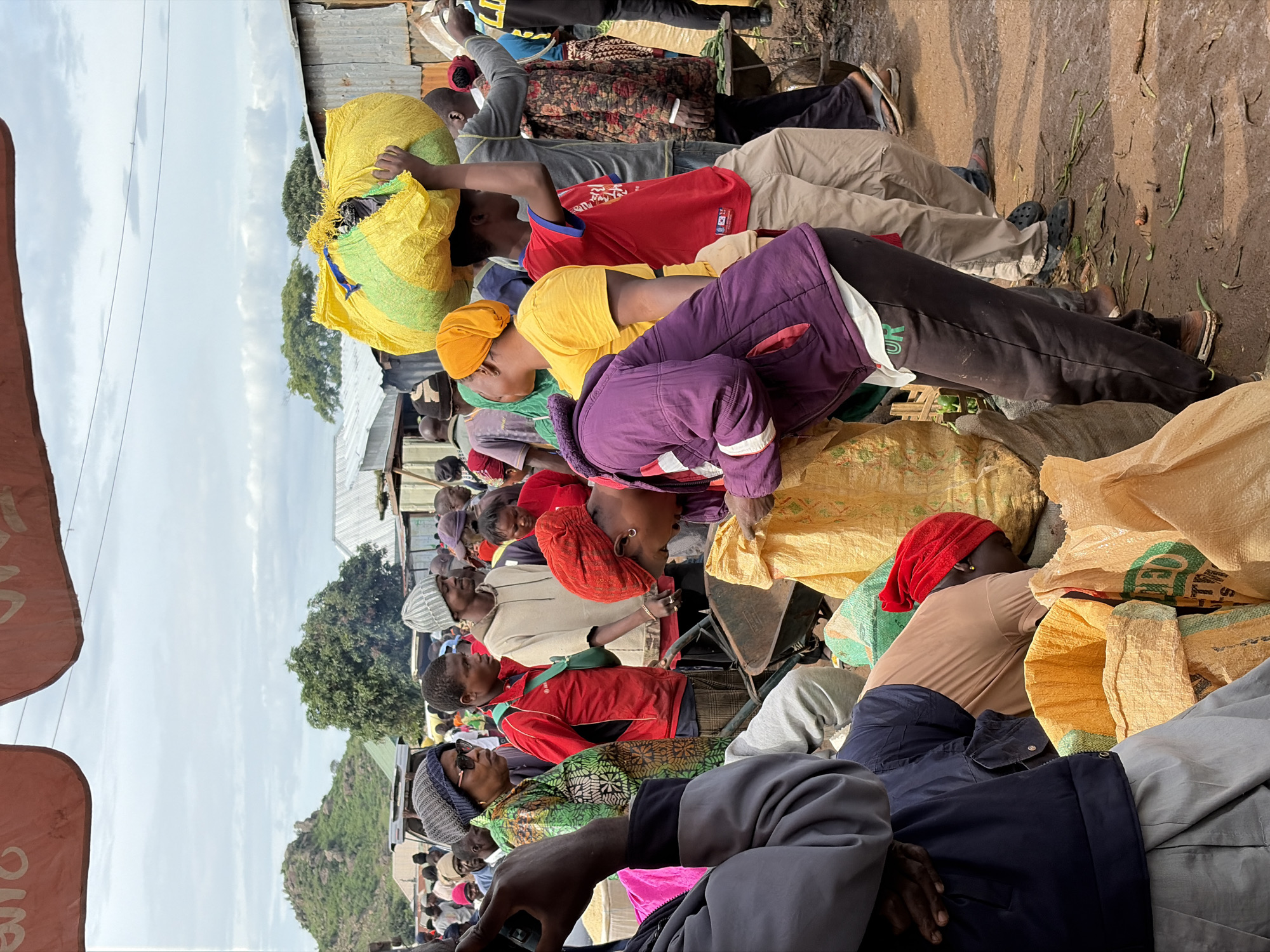 The image depicts a bustling outdoor market scene in Gura Top, Nigeria, under an overcast sky. The foreground is dominated by several large, burlap sacks filled with produce, one of which is partially open and being examined by a person wearing a red headscarf and a purple jacket. To the left, another individual in a gray jacket is partially visible.
In the mid-ground, a diverse group of people are engaged in market activities. A person wearing a red jacket and a green bag slung across their body is looking to the right. To their left, a woman in a patterned green and black dress and a grey knitted hat is looking towards the left. Another person, wearing a grey knitted hat and a light brown hooded sweatshirt, stands to the right of the person in the red jacket.
Further into the market, a young person is carrying a large yellow and green bag of produce on their head. The background shows market stalls with corrugated metal roofs and glimpses of a green, hilly landscape with scattered trees. The ground appears to be dirt and somewhat muddy, with some scattered green produce on it. The overall impression is one of lively commerce and community interaction.