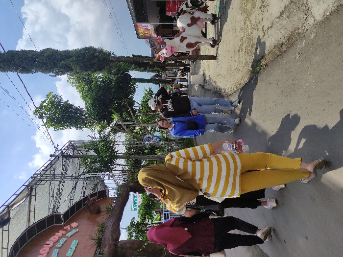 The image shows a street scene in Kecamatan Pujon, Indonesia (latitude: -7.855, longitude: 112.454). Five individuals are walking on the paved street, all heading in the same direction. Four of the people are wearing headscarves and long pants, and one is wearing a blue jacket and jeans. They are all walking in the same direction, towards a cow statue located on the right side of the image. The cow statue is white with black patches and is standing on a paved surface with a blue plastic container behind it. Trees line the street and there is a green metal structure behind the group of individuals. The weather is bright and sunny. Wires are strung overhead, and the scene is typical of a busy, outdoor street in Indonesia.