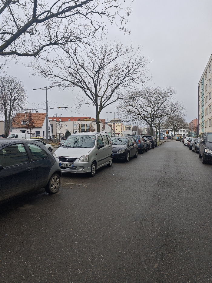 The image captures an urban street scene in Schiltigheim, France, under an overcast sky. The asphalt street, appearing damp, recedes into the distance, bordered on both sides by parked vehicles. In the immediate foreground on the left, a portion of a dark-colored hatchback is visible. Directly behind it, a silver Suzuki Wagon R compact MPV is parked, facing the viewer, displaying the French license plate "VV-837-VC." A continuous line of various parked cars extends down both the left and right sides of the street. Multiple tall deciduous trees with bare branches and visible catkins are spaced along the street, silhouetted against the light grey sky. Tall streetlights with horizontal arms are present throughout the scene. In the background on the left, several buildings are visible, including traditional houses with orange-tiled roofs and more modern multi-story structures. A large, multi-story apartment building with numerous windows and light-colored facades lines the right side of the street. No individuals are present in the depicted environment.