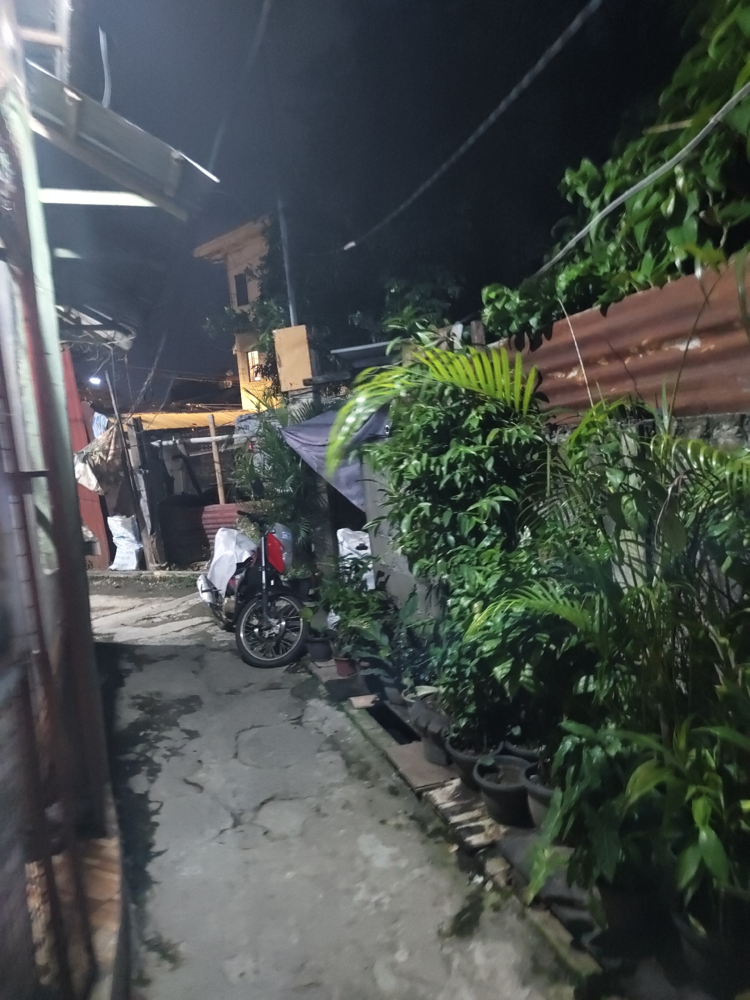 The image depicts an outdoor alleyway at night in a residential area of Davao City, Philippines. A motorcycle, partially covered by a white tarp, is parked on a concrete pathway. The pathway is cracked and appears wet in places. Lush green foliage, including potted plants and what appears to be a fern, lines the right side of the alley. Behind the plants, a corrugated metal fence is visible. In the background, structures with visible windows and a roof made of what appears to be corrugated metal can be seen. The scene is dimly lit, suggesting artificial lighting is present but not directly visible. There are no people or animals visible in the image.