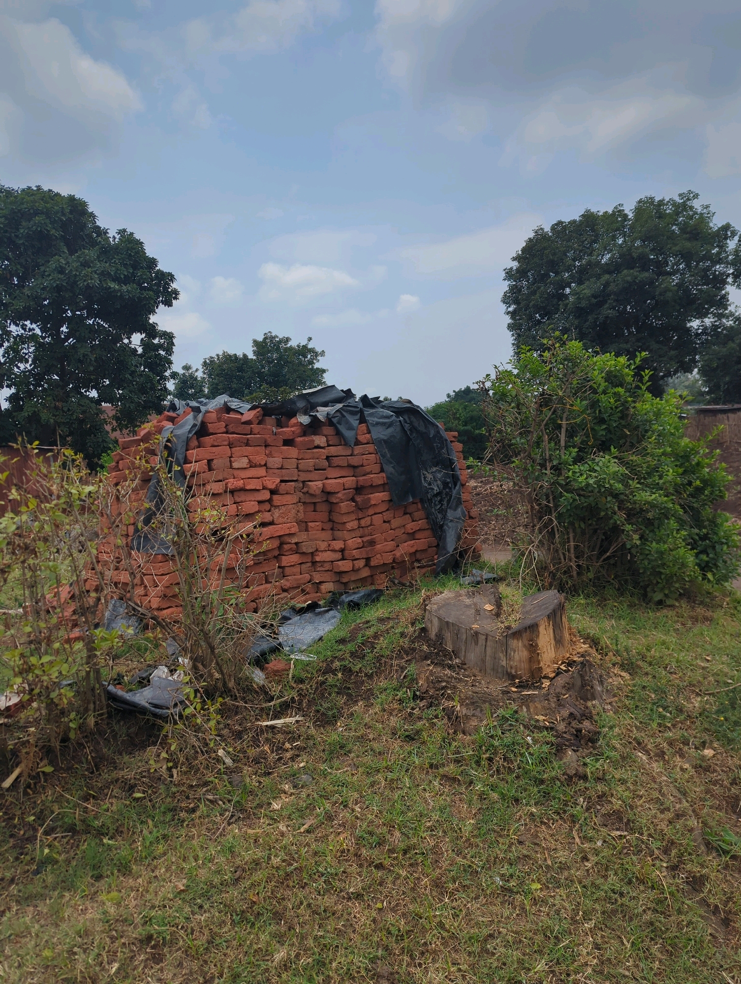 The image depicts an outdoor scene in Musanze District, Rwanda. In the foreground, a pile of red bricks is partially covered by a black tarp. To the right of the bricks, a tree stump is visible. Surrounding the stump and bricks are grassy areas with scattered dry leaves and some green foliage. In the background, dense green trees and vegetation are present, along with a cloudy sky. The scene appears to be a construction or landscaping site.