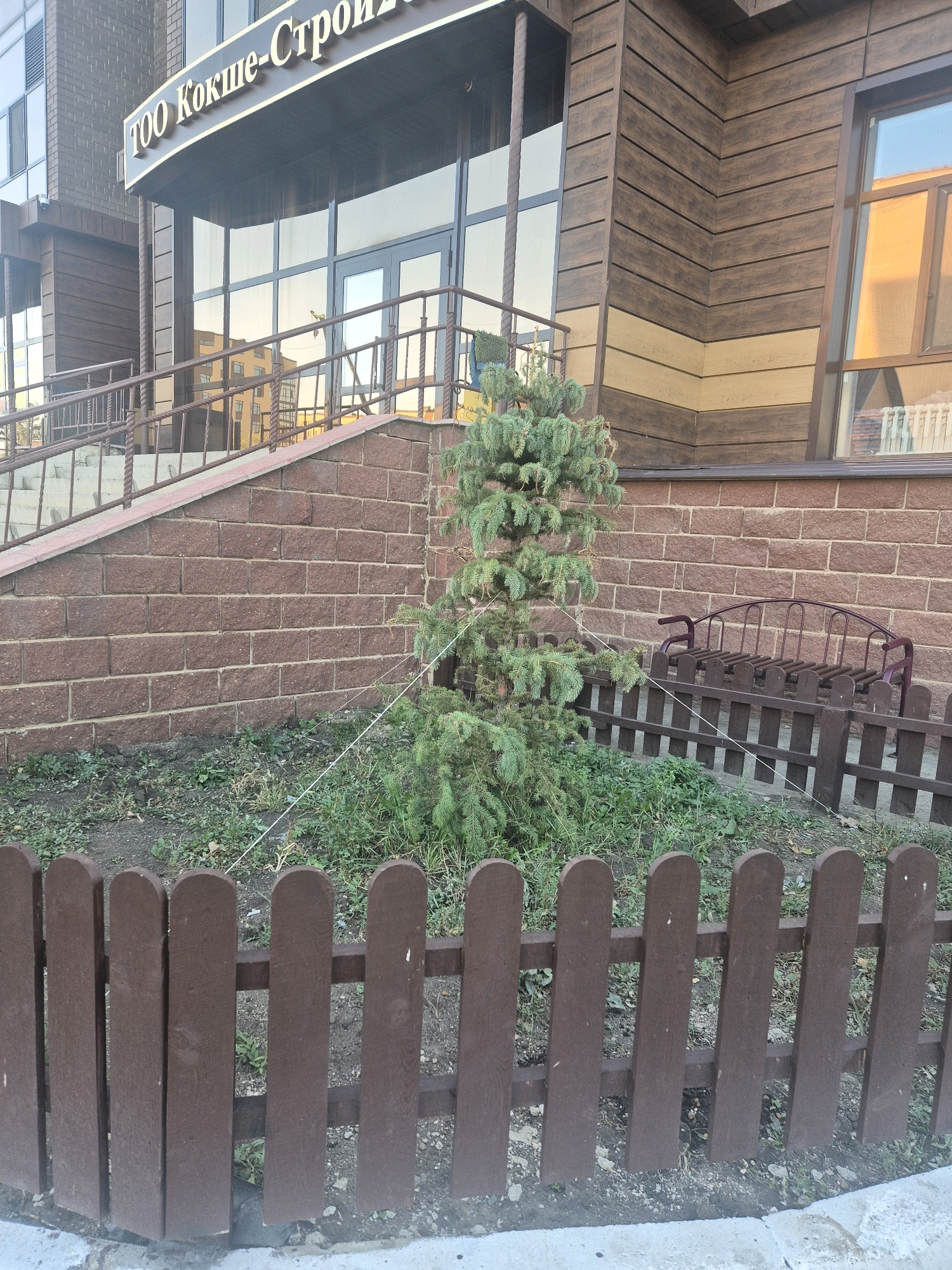 The image shows the exterior of a building with a sign that reads "ТОО Кокше-Строй" (TOO Kokshetau-Stroy). The building has a facade of brown wood-like siding and red brick. In front of the building, there is a small evergreen tree, a dark brown wooden picket fence, and a metal bench. The area is outdoors, with some greenery and soil visible around the tree. The building appears to be a commercial establishment, likely an office or a company headquarters, located in Kokshetau, Kazakhstan, as indicated by the company name. There are no people visible in the image. The scene is static and appears to be a daytime shot, with natural lighting.