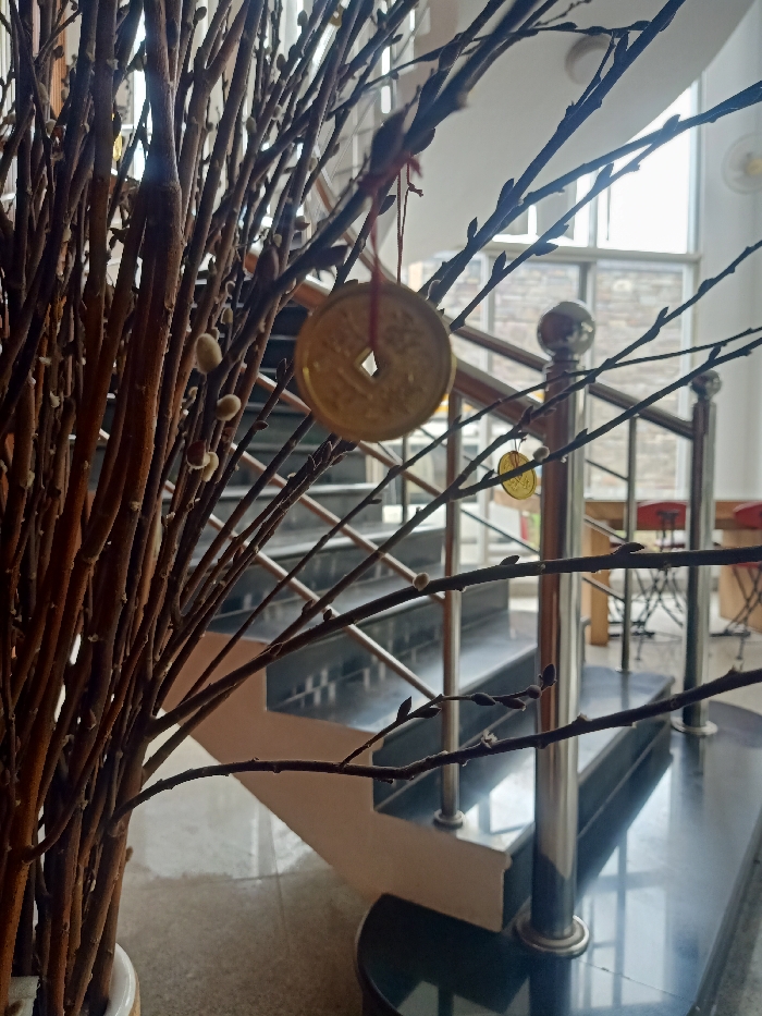Foreground: A dense arrangement of brown, budding branches with small cotton-like buds. A golden, circular coin with a square hole hangs from one branch with a red string.
Background: A staircase with black treads and a silver railing ascends. Beyond the staircase is a large window letting in daylight. A few tables and chairs are partially visible in the room beyond the window.