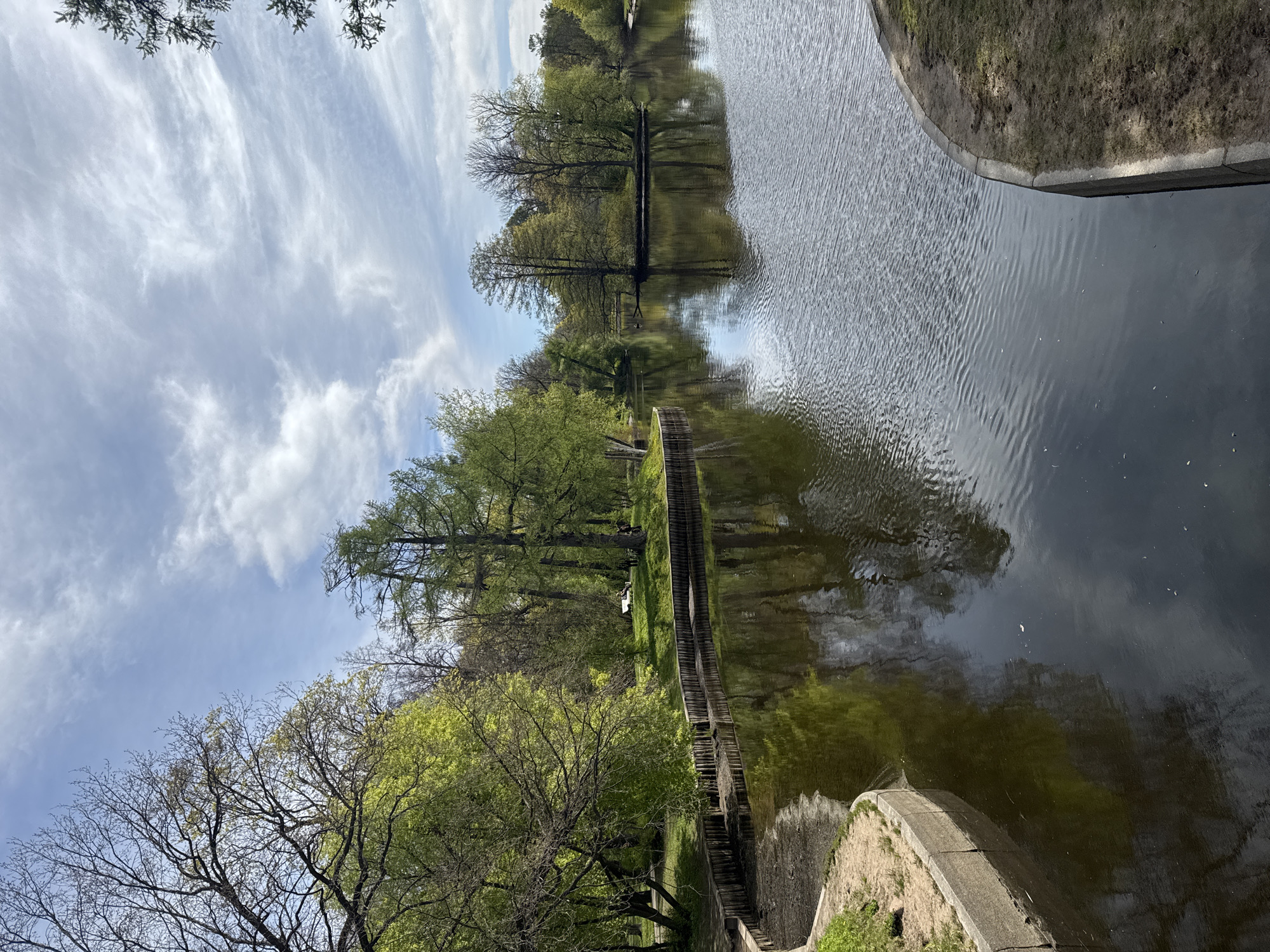 The image shows a body of water, possibly a canal or river, running through a park-like setting with trees along its banks. The trees show springtime foliage. The water reflects the sky, which has light, wispy clouds. A concrete embankment or retaining wall is visible on one side. A series of steps leads down to the water. Based on the setting, it could potentially be located in Saint Petersburg, Russia. There are trees, grass, and concrete steps. The photograph appears to be taken in daylight.