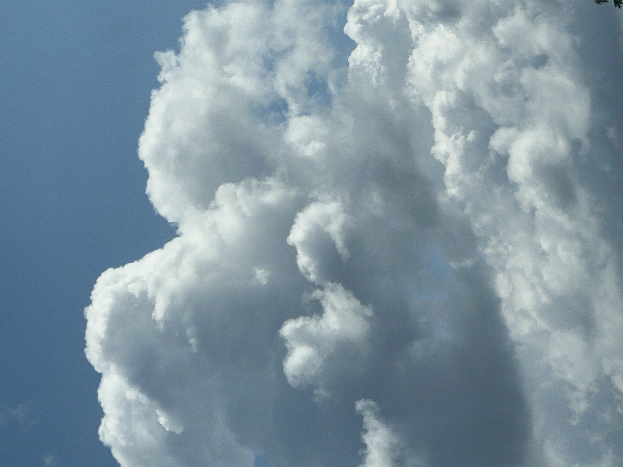 The image displays a close-up, low-angle view of cumulus and stratus clouds against a clear blue sky. The clouds are predominantly white and grey, with varying densities and textures, suggesting a dynamic atmospheric condition. Some clouds exhibit sharp, well-defined edges, while others are softer and more diffuse. The overall impression is one of a bright, possibly sunny day, with a significant cloud cover that is varied and textured. There are no visible structures, people, or objects within the frame, indicating the image is solely focused on the sky. There is no information to suggest this scene is located in Warsaw, Poland; it is a generic depiction of clouds in the sky.