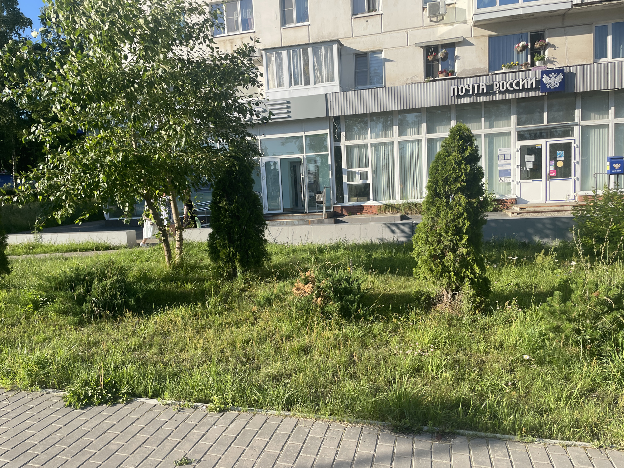 An outdoor medium shot captures a building with a "POCHTA ROSSI" (Russian Post) sign and an eagle emblem. The building features large glass windows and doors on the ground floor, suggesting a commercial establishment. In front of the building, a paved walkway is visible, bordered by a grassy area with several trees, including a large leafy tree on the left and two conical evergreen trees. The scene appears to be a sunny day, with shadows cast by the trees and building. The environment suggests an urban or suburban setting.
