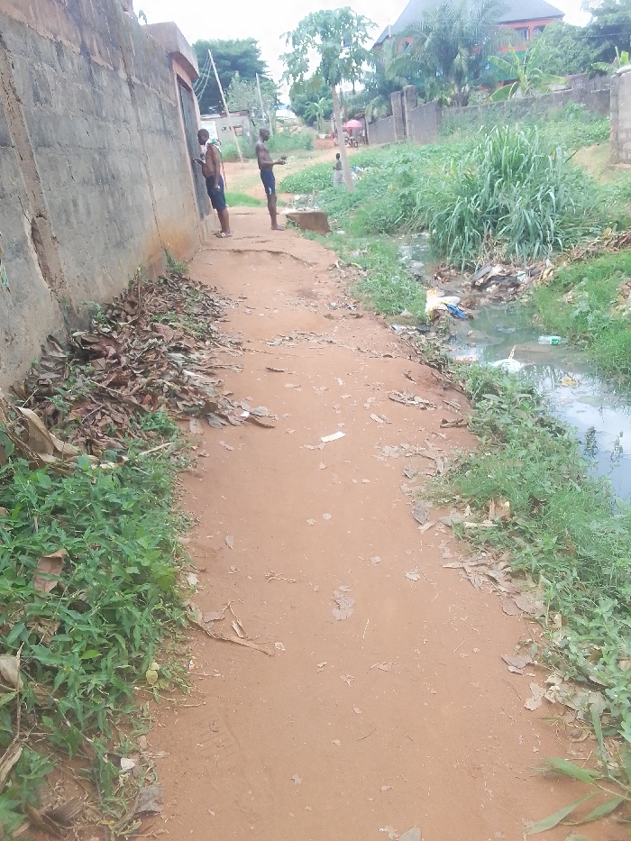 This image depicts a dirt pathway running through Ukwu-Abwa, Nigeria, with a concrete wall on the left and a refuse-filled drainage ditch on the right. In the mid-ground, two males are present: one is standing facing the concrete wall, shirtless and wearing dark shorts, appearing to urinate; the second male stands a few steps to the right, also shirtless and in dark shorts, holding a small dark object in his hands. The concrete wall is weathered, with a darker, recessed opening. A pile of dried leaves rests at the base of the wall. The pathway is unpaved, reddish-brown earth, showing wear and tear, with sporadic patches of green vegetation along its edges. To the right of the path, a narrow, dark, stagnant water channel is visible, heavily littered with plastic bags, bottles, and other debris. The banks of this channel are overgrown with various green plants and tall grasses. In the background, beyond the vegetation, additional structures and trees are visible, including a building with a dark roof. A third, smaller figure is partially visible further down the path on the right side. The sky appears overcast.