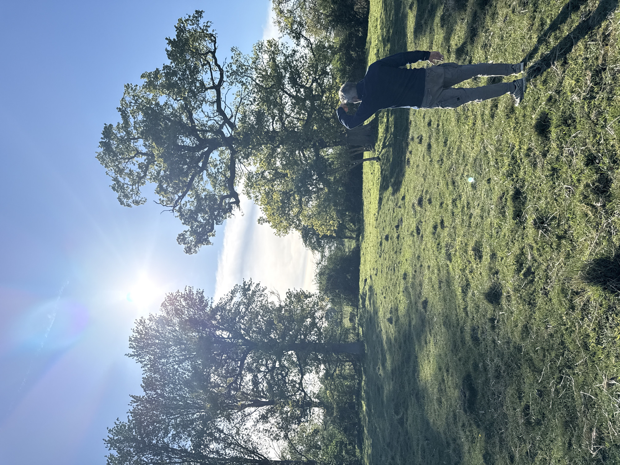This image captures an outdoor scene on a bright, sunny day in a grassy field or park, characteristic of North Hertfordshire, United Kingdom. The frame, oriented correctly, features a clear blue sky with some scattered clouds, and a prominent sun flare in the upper left corner, indicating the sun's high position.
In the mid-ground on the right side, a man stands facing left, dressed in a dark long-sleeved top and lighter-colored trousers. He has his right hand raised to his forehead, appearing to shield his eyes from the direct sunlight as he looks forward or slightly upward.
Several large, mature deciduous trees with dense green foliage are scattered across the left and central parts of the landscape. Their branches, though partially obscured by bright sunlight in some areas, show intricate patterns. These trees cast long, distinct shadows across the vibrant green grass, suggesting either morning or late afternoon. The terrain is gently undulating, covered in lush green grass that shows variations in texture and height. The overall atmosphere is peaceful and serene, emphasizing the natural beauty of the sunlit outdoor environment. No text is visible in the image.