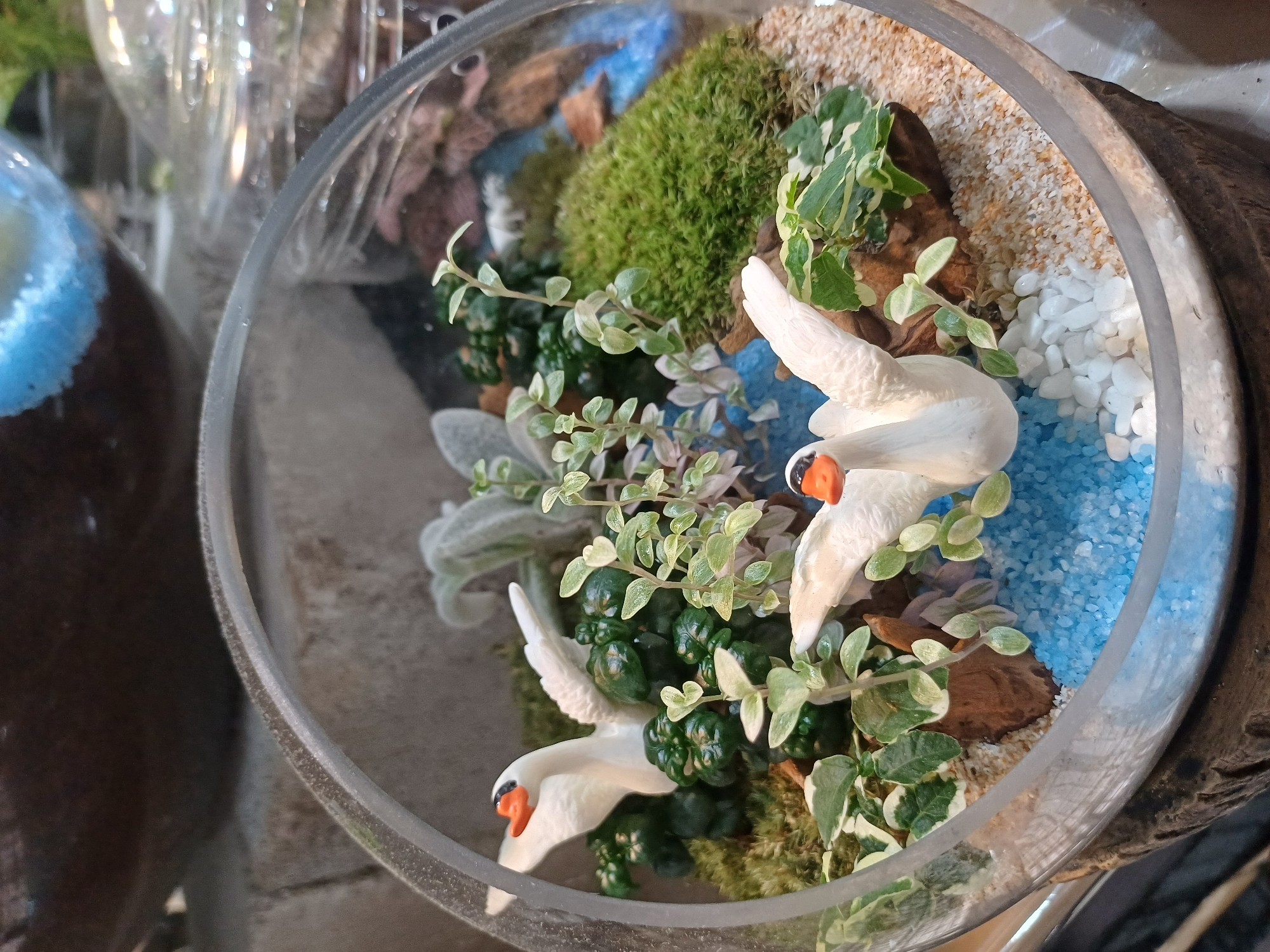 This is a close-up, eye-level shot of a terrarium. The terrarium is a clear glass bowl filled with miniature plants, moss, sand, and two white swan figurines with orange beaks. The background is out of focus, showing what appears to be a shop or display area with muted colors. There are no people visible in the image. The scene is static and depicts a decorative arrangement. There is no information within the image that can be used to determine the location of Kuala Lumpur, Malaysia.