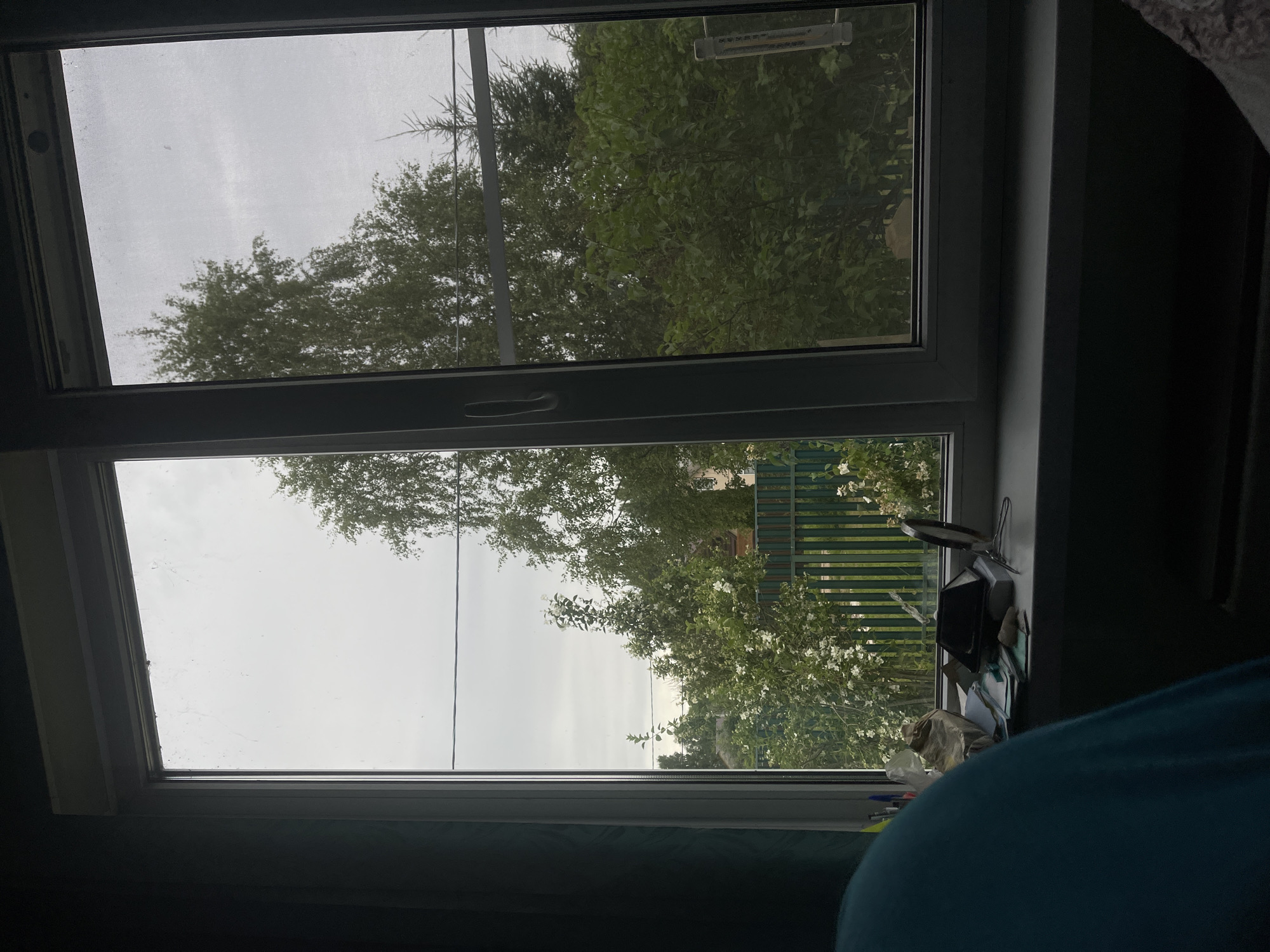 The image shows a view through a window looking out onto a yard. The window is divided into two panes, with the left pane showing a close-up of a cluttered windowsill with papers, a black pyramid-shaped object, and a small mirror. The right pane offers a wider view of the yard, featuring lush green trees, a white-flowered bush, and a green fence. The sky is overcast and gray. The setting appears to be residential, possibly a house or dacha in Красное, Russia, given the style of the fence and vegetation. There are no people visible in the image, but a person's shoulder and part of their upper body, wearing a teal garment, is present in the foreground, suggesting they are indoors looking out the window.