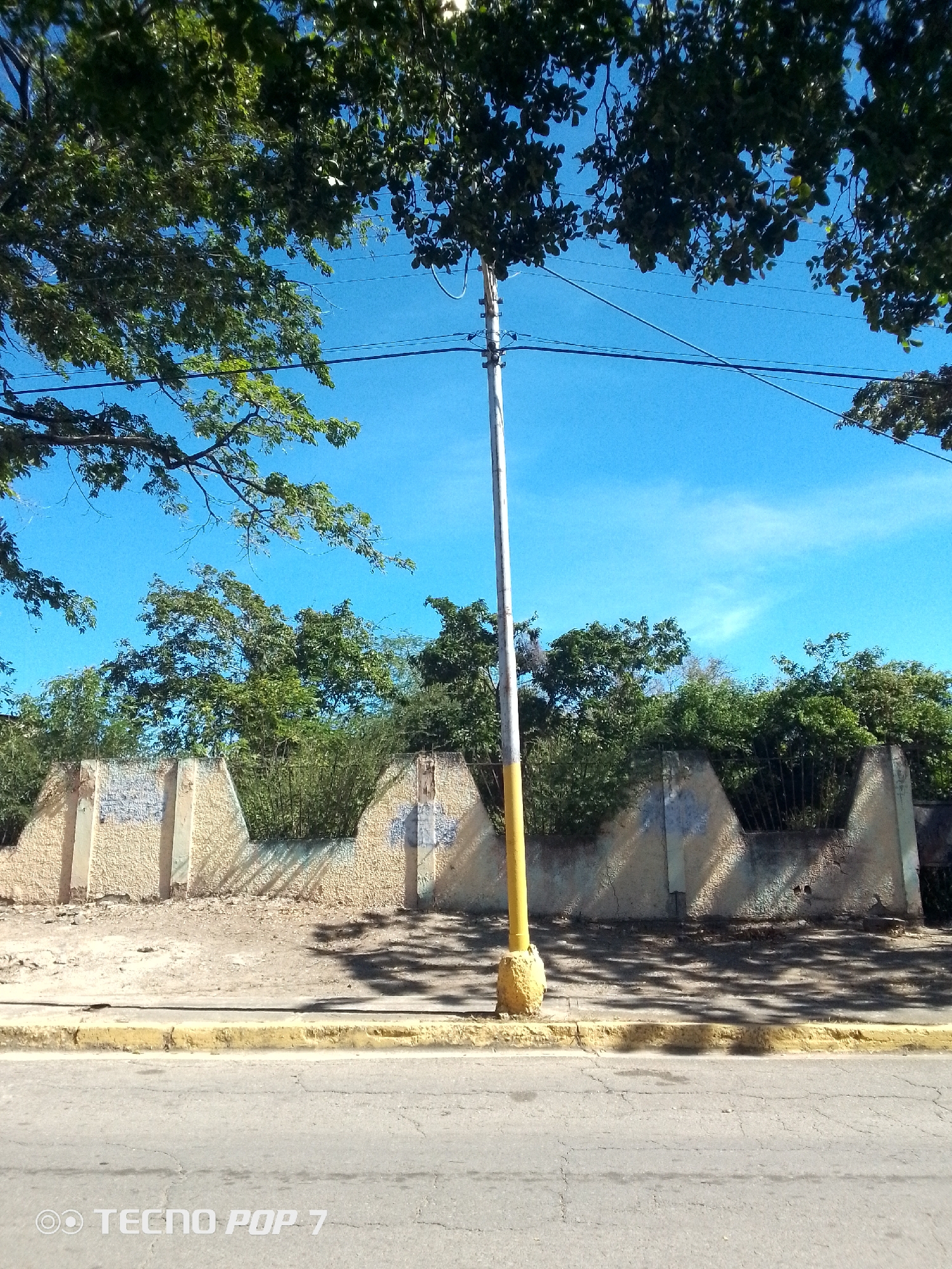 The image captures an outdoor scene in Altagracia, Venezuela, under a bright, clear blue sky with sparse white clouds. The foreground consists of an asphalt road showing surface cracks, bordered by a yellow-painted concrete curb. Beyond the curb, a light-colored sidewalk, primarily dirt-toned and textured, extends towards a perimeter wall. This weathered wall, constructed of light-colored textured panels and concrete pillars, runs horizontally across the mid-ground. Sections of dark metal fencing are visible within the wall's upper openings. Behind the wall, dense green foliage and trees rise, extending upwards and out of frame. A tall utility pole, silver-grey in its upper section and painted yellow at its base, stands on the sidewalk slightly right of center, supporting multiple horizontal power lines. Lush green tree branches with leaves overhang the upper portion of the frame. Distinct shadows of leaves are cast upon the sidewalk and parts of the wall, indicating direct sunlight from an unseen source. No people or active interactions are visible.