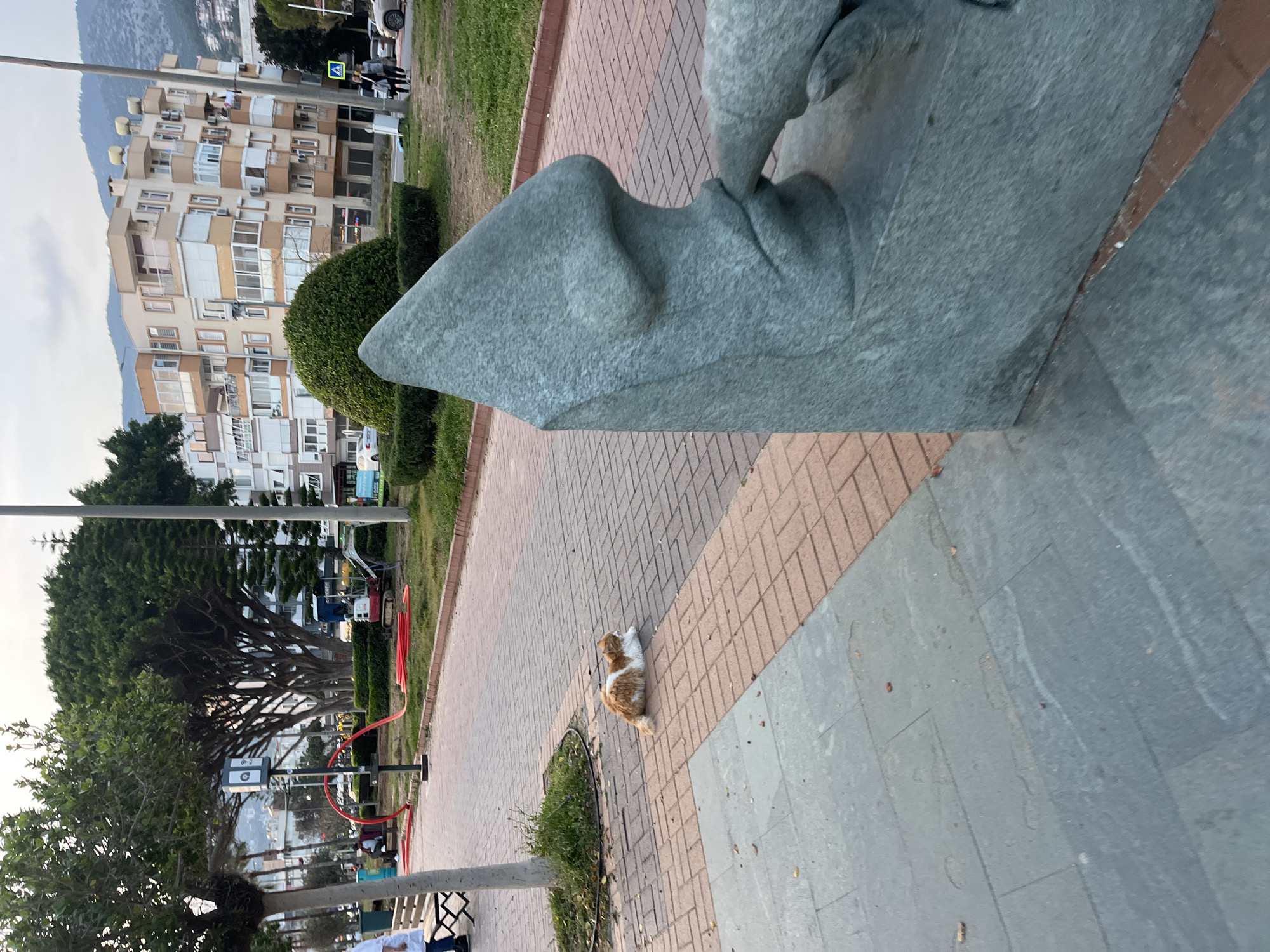 The image shows an outdoor scene in what appears to be Alanya, Turkey, identifiable by the urban landscape with multi-story apartment buildings and the presence of distant mountains. A light brown and white cat rests on a brick pathway next to a large stone sculpture. The sculpture has an abstract, possibly human form. The pathway is bordered by trimmed green bushes and grass, with trees providing shade in the background. In the background, a building appears, a parked vehicle, construction equipment, street lights and signs, benches and people are visible. A utility pole stands near the foreground. The overall scene suggests a public park or promenade area near a residential zone.