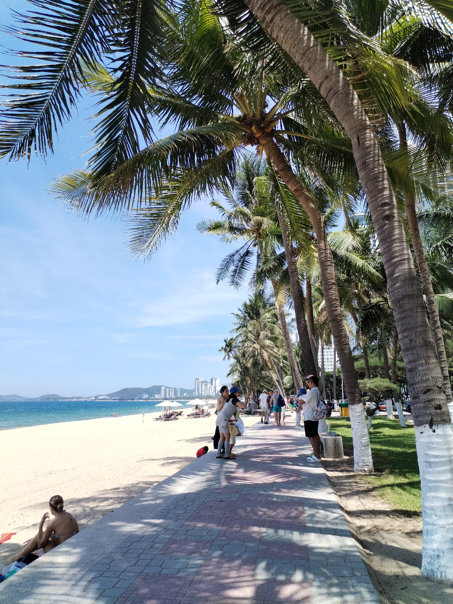 This image depicts a sunny day scene along the coastline of Nha Trang Ward, Vietnam. A wide, sandy beach stretches out to the ocean, where the water is a vibrant blue. In the distance, the city skyline is visible, with several tall buildings and mountains forming the backdrop.
The foreground of the image is dominated by a paved walkway lined with numerous palm trees. Some of the palm tree trunks are painted white at their bases. People are seen strolling along the walkway, some are standing and conversing, while others are walking in different directions. A woman is sitting on the beach in the lower left corner of the image, facing away from the camera.
Further down the beach, several lounge chairs and umbrellas are set up, suggesting a recreational area. The sky is a clear, bright blue. The scene is peaceful and evokes a sense of a tropical vacation.