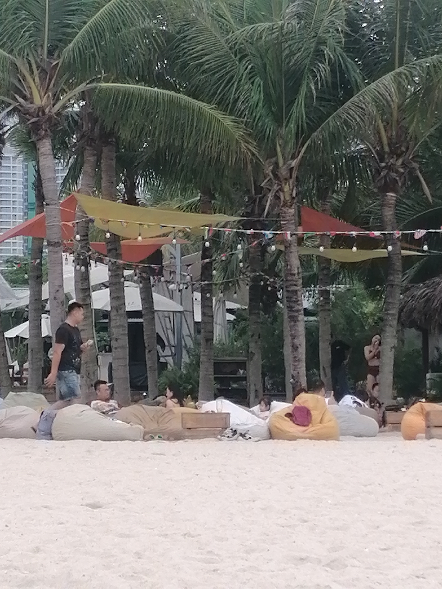 This image captures a relaxed scene on a sandy beach, likely in a resort or beach club setting in Bai Chay Ward, Vietnam. The foreground is dominated by a light-colored sandy beach. Scattered across the sand are numerous large, comfortable beanbags in various muted colors including beige, tan, yellow, gray, and orange, on which people are lounging.
Several individuals are visible. On the left, a man in a black t-shirt and denim shorts walks across the sand, holding a light-colored object. Further right, another man reclines on a beige beanbag, looking towards a woman sitting on an adjacent beanbag. In the background, under the shade of palm trees, other people are seen relaxing, with one person in a bikini near a thatched hut on the far right.
The midground and background are filled with numerous tall palm trees, their green fronds creating a canopy. Between the palm tree trunks, colorful fabric canopies in yellow, orange, and red are strung up, providing shade or decoration. Strings of decorative bare-bulb lights are also visible, draped between the trees and canopies, suggesting the scene might transition into evening. Behind the palm trees on the left, modern, multi-story buildings can be seen, indicating an urban or developed coastal area. White tents or large umbrellas are also visible further back, contributing to the resort atmosphere.
The time of day appears to be late afternoon or early evening, given the soft, diffused light, and the weather seems pleasant and calm. The overall mood is one of leisure and relaxation. There is no visible text in the image.