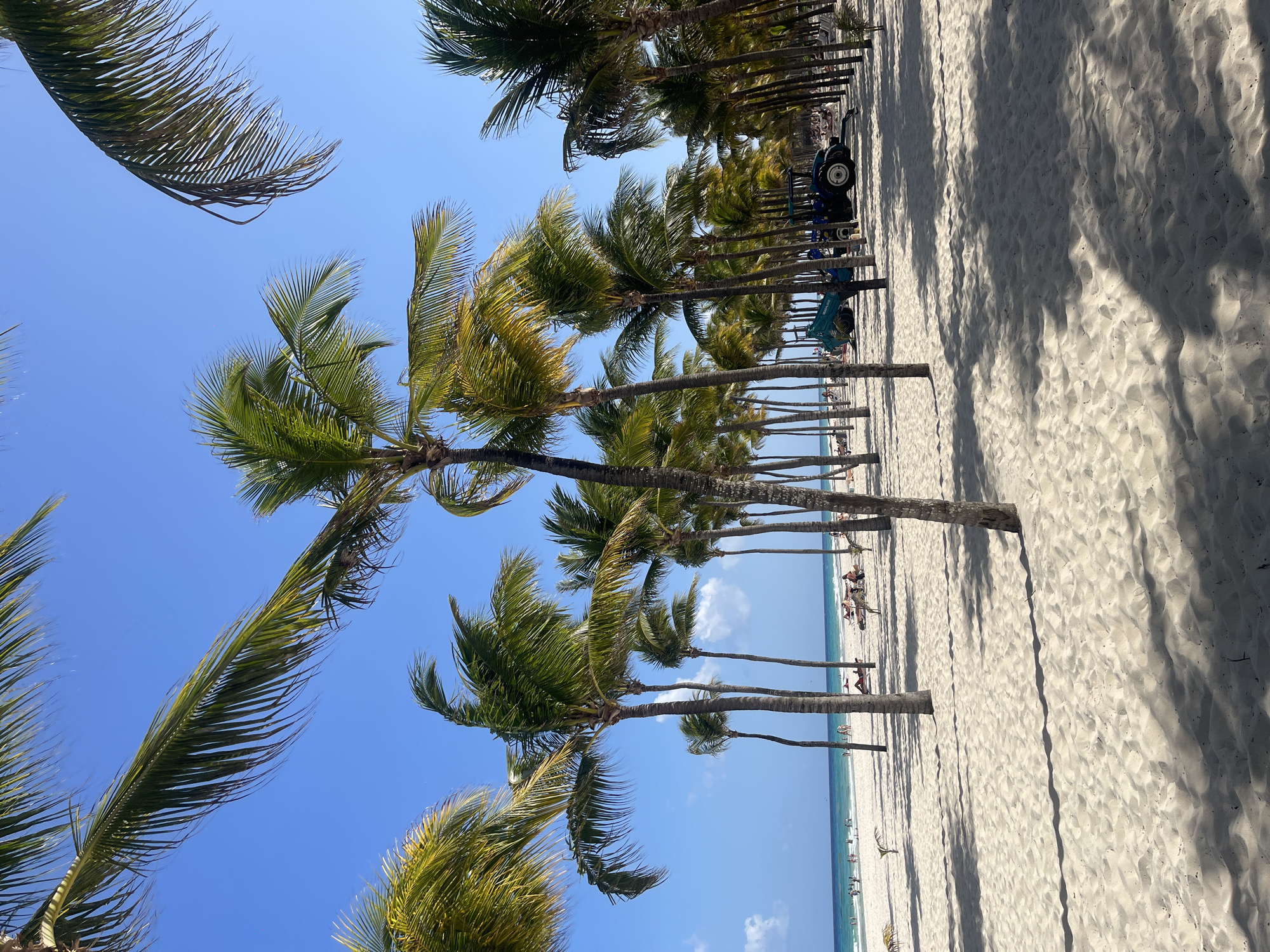 The image depicts a beach scene in Playa del Carmen, Mexico. A row of palm trees lines the beach, casting long shadows on the white sand. In the distance, there are individuals sunbathing and walking near the water's edge. In the background, heavy machinery is observed between the lines of palm trees. The sky is clear and blue. The perspective is tilted, creating a diagonal composition.