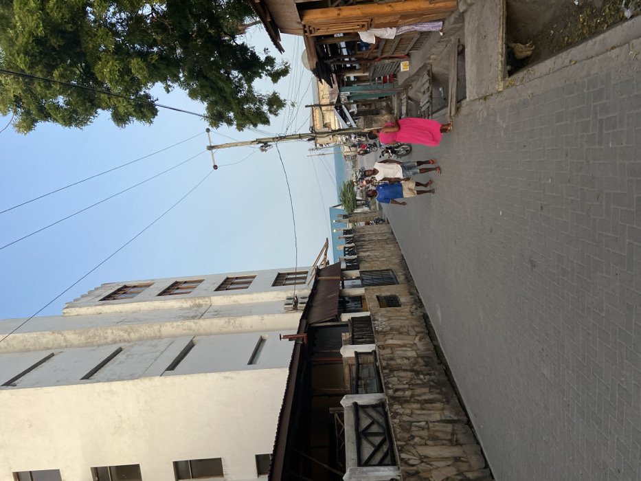 The image depicts a vibrant street scene in Bagamoyo, Tanzania. When viewed upright (the original image is rotated 90 degrees clockwise), a paved street made of gray interlocking bricks extends into the distance, leading towards a body of water, likely the Indian Ocean.
On the left side of the street, a multi-story building with a light-colored (possibly white) facade and horizontal window designs stands prominently. Its upper sections show some weathering. On the right, older, more traditional structures with stone or rough plaster walls and wooden accents line the road. These appear to be shops or residences, some with corrugated metal roofs.
Several people are visible in the middle ground of the street. Three men walk or stand together; one wears a white t-shirt and light shorts, another a blue t-shirt and light shorts, and the third a white t-shirt and darker shorts. They appear to be wearing sandals or are barefoot. Further down the street on the right, a woman in a bright pink dress stands near one of the buildings.
Overhead, a prominent wooden utility pole with multiple electrical wires crosses the frame. A large green tree with lush foliage is visible in the upper left corner against a clear, light blue sky. The distant background reveals the expansive blue ocean, with faint outlines of structures or boats along its shore. The soft lighting suggests it is daytime, possibly morning or late afternoon. No discernible text is visible.
