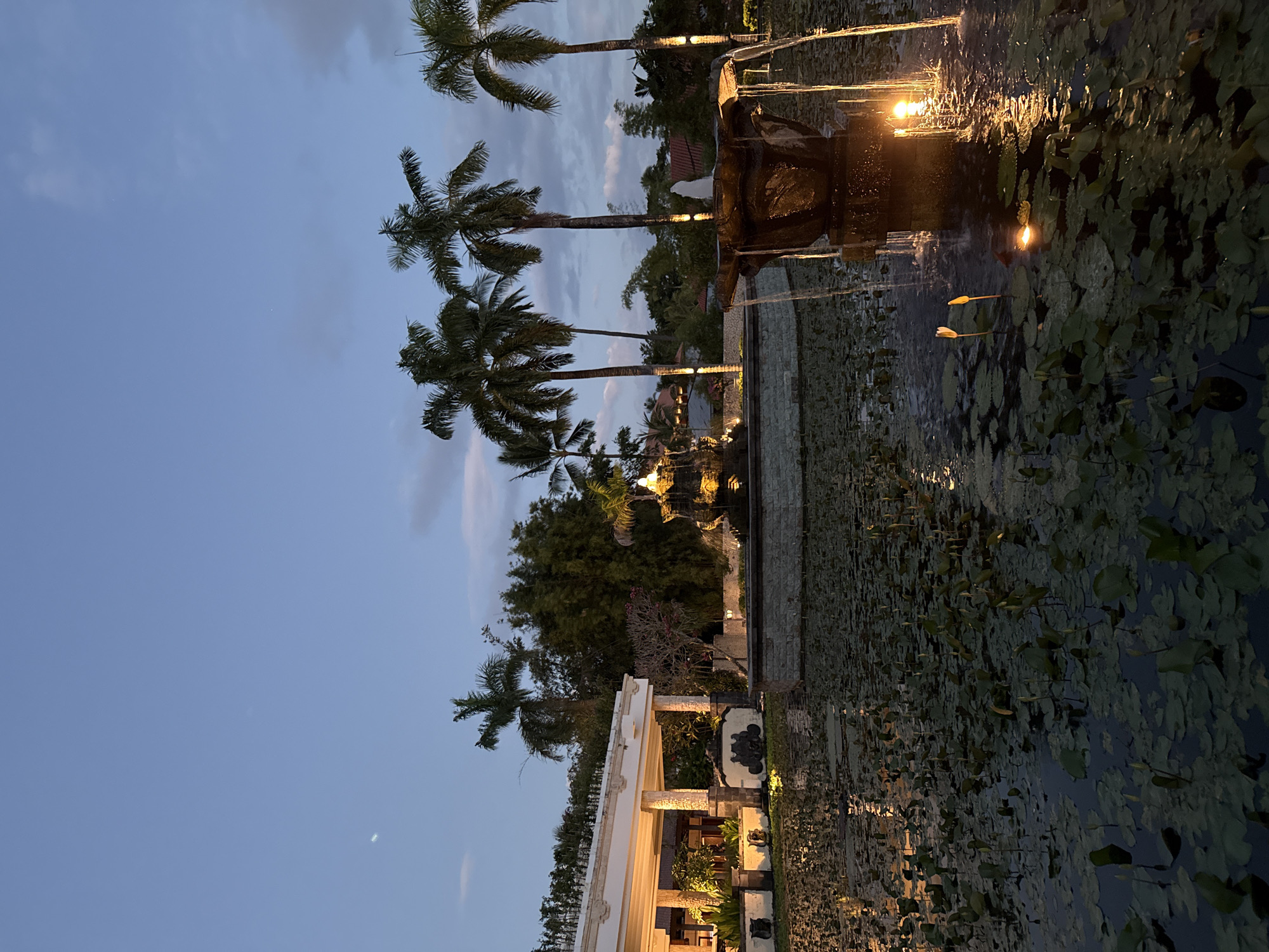 This image captures a serene tropical landscape at dusk or early night, likely in Kuta Selatan, Indonesia. The sky, a tranquil blue-grey with faint clouds, hints at the fading daylight.
Dominating the left side of the frame are several tall palm trees, their fronds silhouetted against the sky. Below them, a white, pavilion-like structure with columns emits a warm glow from interior lighting. Towards the center, an ornate fountain, crafted from dark material, is brightly illuminated, with water visibly cascading into a pond. The artificial lights cast warm reflections across the water's surface, highlighting the flowing water.
The foreground and right side of the image are occupied by a pond or pool extensively covered with dark green lily pads and several budding water lilies, some with pinkish-orange hues. The pond reflects the warm artificial lights, creating shimmering patterns. In the mid-ground and background, dense tropical foliage, including more palm trees and various trees and shrubs, is dimly lit, suggesting a lush garden or resort setting.
The overall atmosphere is one of calm and beauty, with the warm artificial lighting providing a striking contrast to the cool tones of the twilight sky and the dark water. No people or activities are visible, emphasizing the peaceful ambiance of the illuminated landscape. There is no visible text in the image.