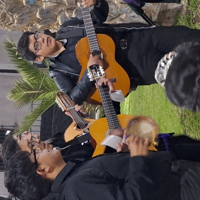 Four musicians dressed in black are playing instruments outside. The first musician is sitting and playing a guitar. A second musician is playing a small guitar or similar stringed instrument, and the third musician is playing a guitar. A fourth musician is playing a tambourine. They are surrounded by green grass and a stone wall.
