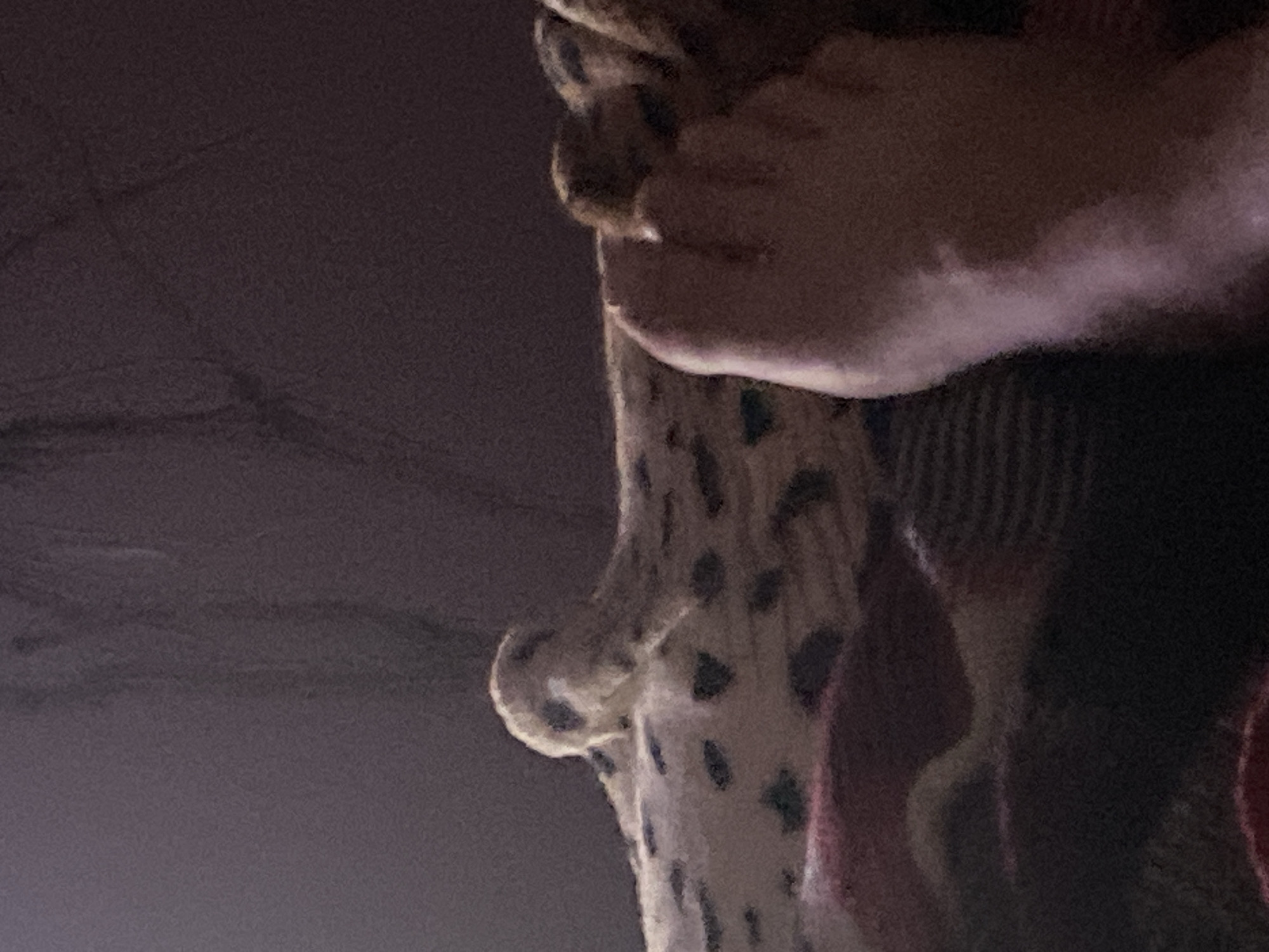 The image depicts a close-up view of a spotted fabric, possibly a blanket or upholstery, and a human foot with visible toes. The fabric has irregular dark spots on a lighter background. The foot is positioned in the foreground, appearing to rest on the spotted material. The background is dark and blurred, with some texture suggesting a wall or furniture. There are no discernible elements that would indicate a specific location in Zastavna, Ukraine. The overall scene is domestic in nature, with no obvious activity or interaction occurring.