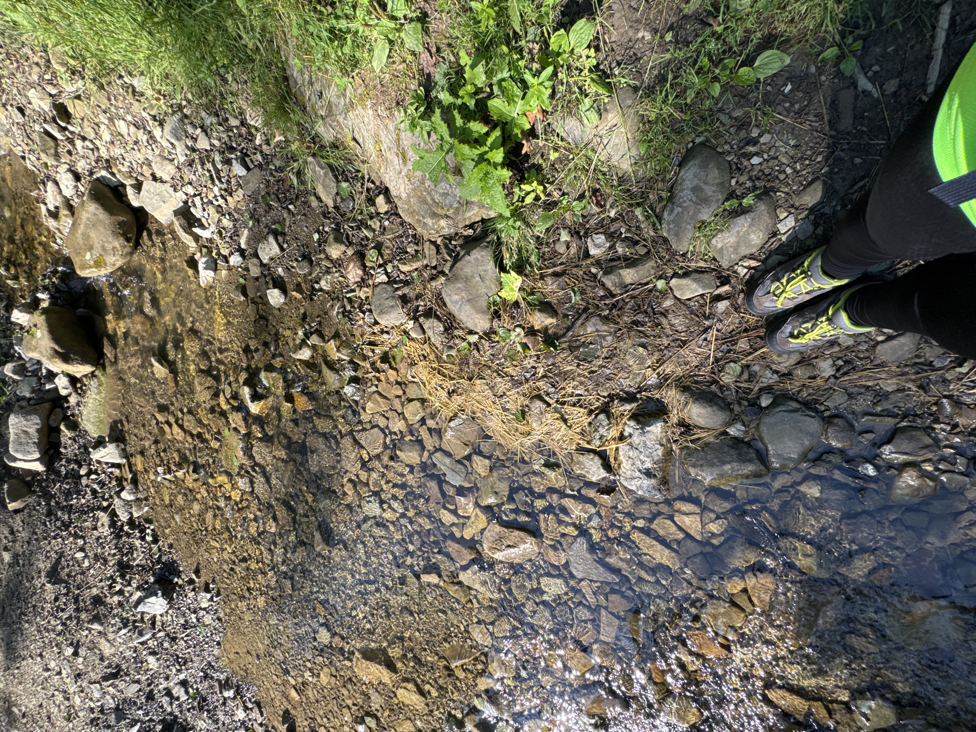 The image shows a person's legs and feet wearing black leggings and hiking shoes with neon yellow laces, standing on a rocky stream bed. The stream is shallow with clear water flowing over various sized stones. The surrounding environment consists of a rocky bank with dry grass, some green vegetation, and larger rocks. The lighting suggests a sunny day, casting shadows on the ground. The scene is likely outdoors in a natural setting, possibly a hiking trail. While no specific landmarks are visible, the description of the environment is consistent with the natural landscape of Kryvorivnia, Ukraine, known for its mountainous terrain and streams.