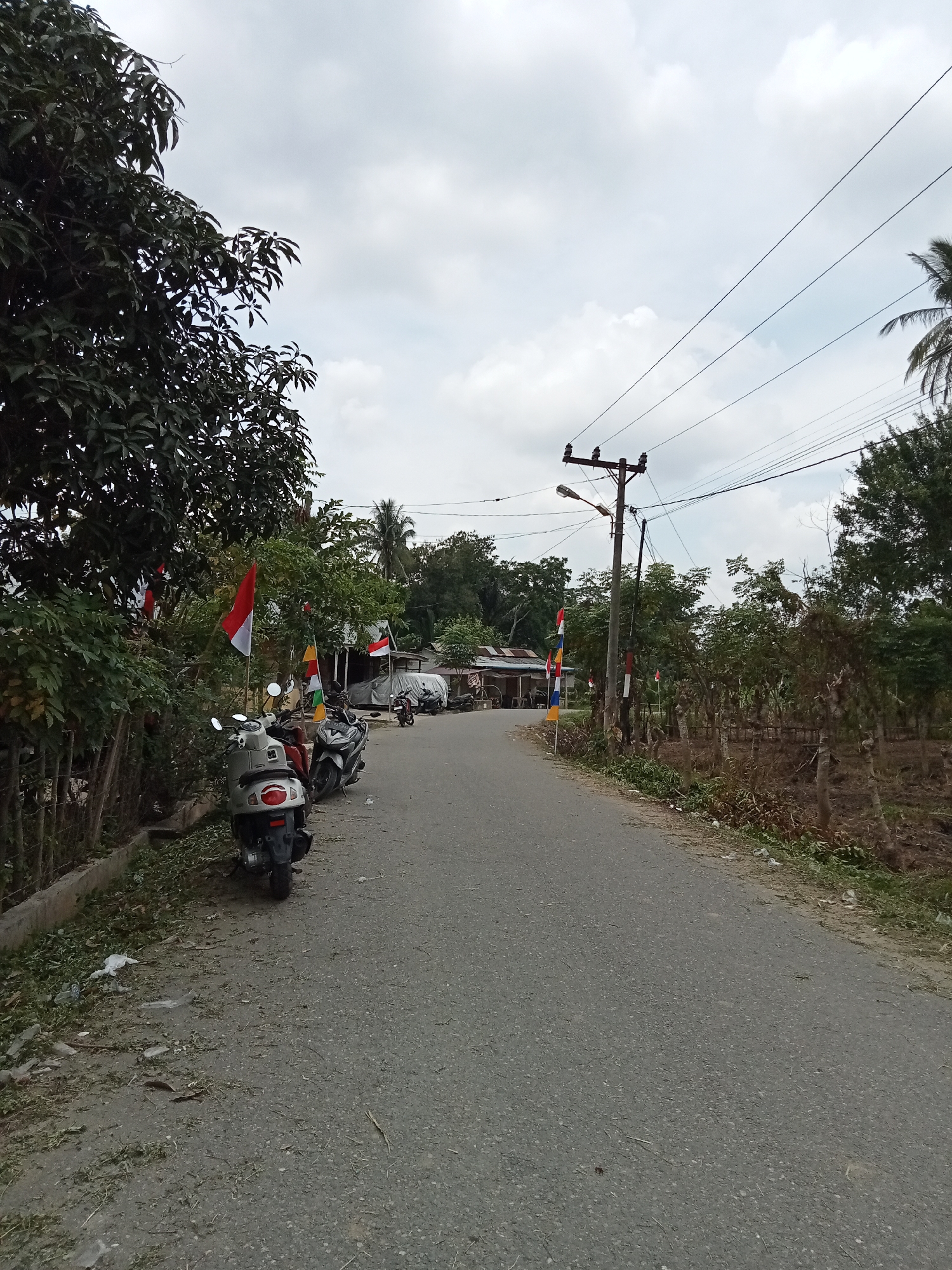 The image depicts a street scene in Singgahmata, Indonesia, under an overcast sky. A paved road runs through the center of the frame, curving slightly to the right. On the left side of the road, a line of motorcycles is parked along the shoulder. A dense line of trees and vegetation borders the left side of the road, with some Indonesian flags displayed on poles interspersed among the foliage. In the background, there are several small buildings with corrugated metal roofs, suggesting a residential or commercial area. To the right of the road, the terrain appears to be a cultivated or undeveloped area with scattered trees and dry vegetation. Electrical poles and overhead wires are visible, indicating the presence of infrastructure. The overall impression is one of a rural or semi-rural setting in Indonesia.