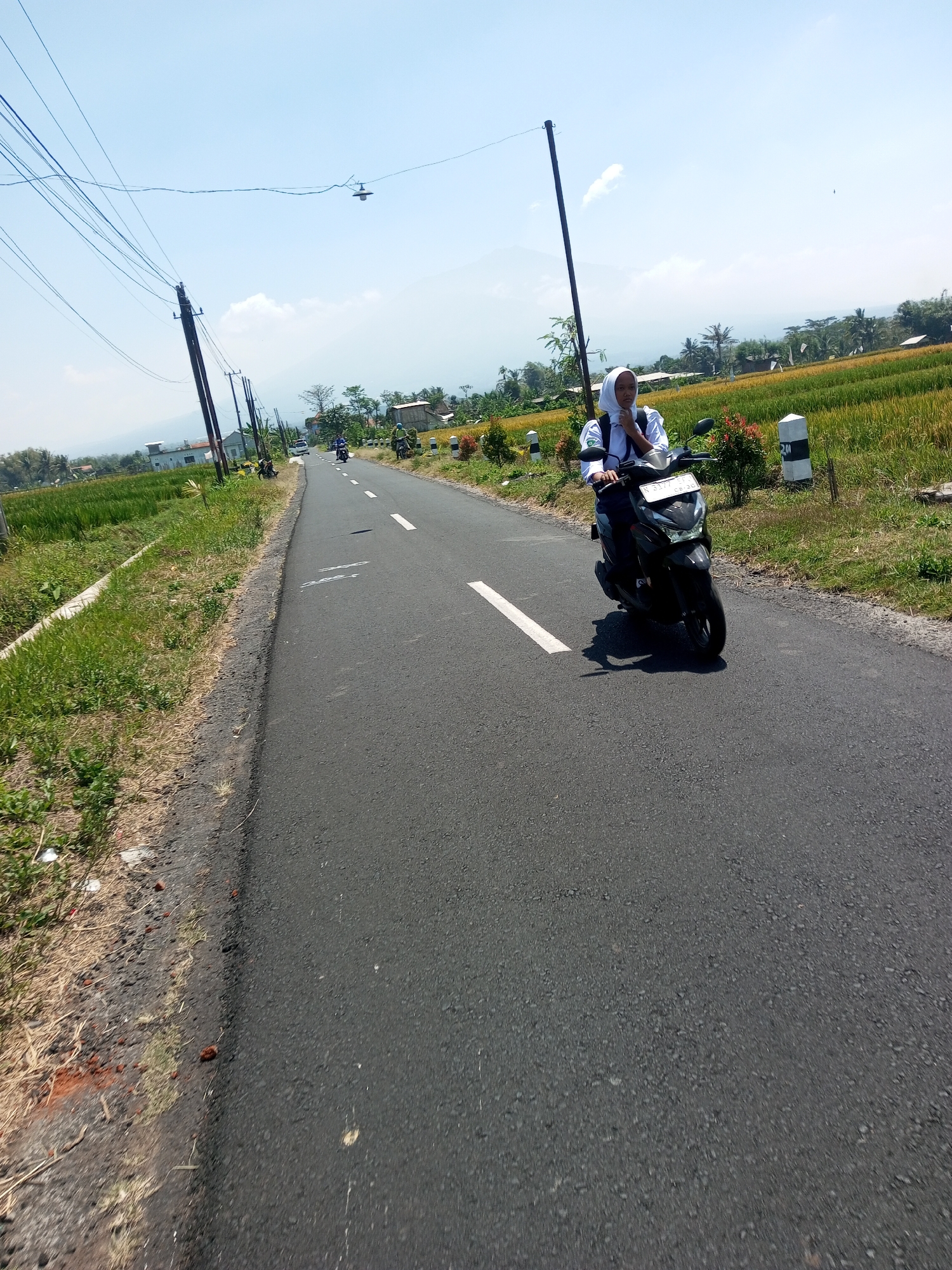 A young female, wearing a white hijab and a white uniform, rides a black motorcycle down a paved rural road in Purwosari Klampok, Indonesia. The motorcycle is in motion, indicated by the blur of the wheels. The road has white dashed lines. To the left of the road, there are green fields with tall grass and some reddish-brown soil. Further to the left, there are telephone poles with numerous wires stretching across the sky. On the right side of the road, there are more green fields, likely rice paddies, with some yellowing crops. There are also two white and black bollards along the side of the road. In the background, there are trees, some buildings, and a hazy mountain range under a clear blue sky with a few scattered clouds. The overall scene depicts a sunny day in a rural Indonesian landscape.
