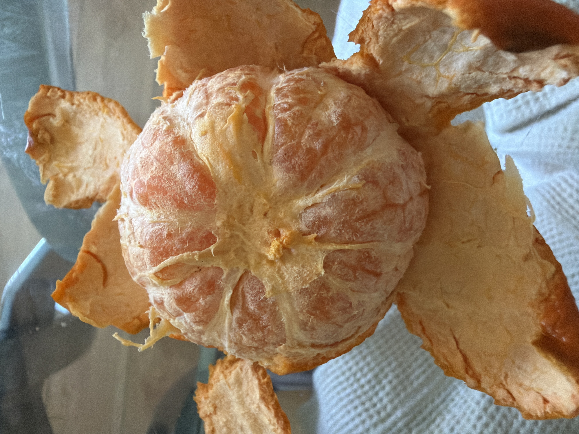 A close-up, overhead shot shows a peeled tangerine with its peel fanned out around it. The tangerine itself is segmented and has a textured, slightly fibrous surface. The peel is thick and appears to have been recently removed, with some pith still attached to the fruit. The color palette is dominated by oranges and yellows, with some hints of white from the pith and the background. The background consists of a blurred surface that appears to be a white textured cloth, possibly a napkin or tablecloth, and a translucent blueish surface on the left, which could be glass or plastic. The lighting suggests an indoor setting, possibly natural light coming from above or the side, creating soft shadows. No people, text, or specific time of day or weather cues are visible. The image focuses on the tactile and visual details of the peeled tangerine and its peel, presenting it as a still life.