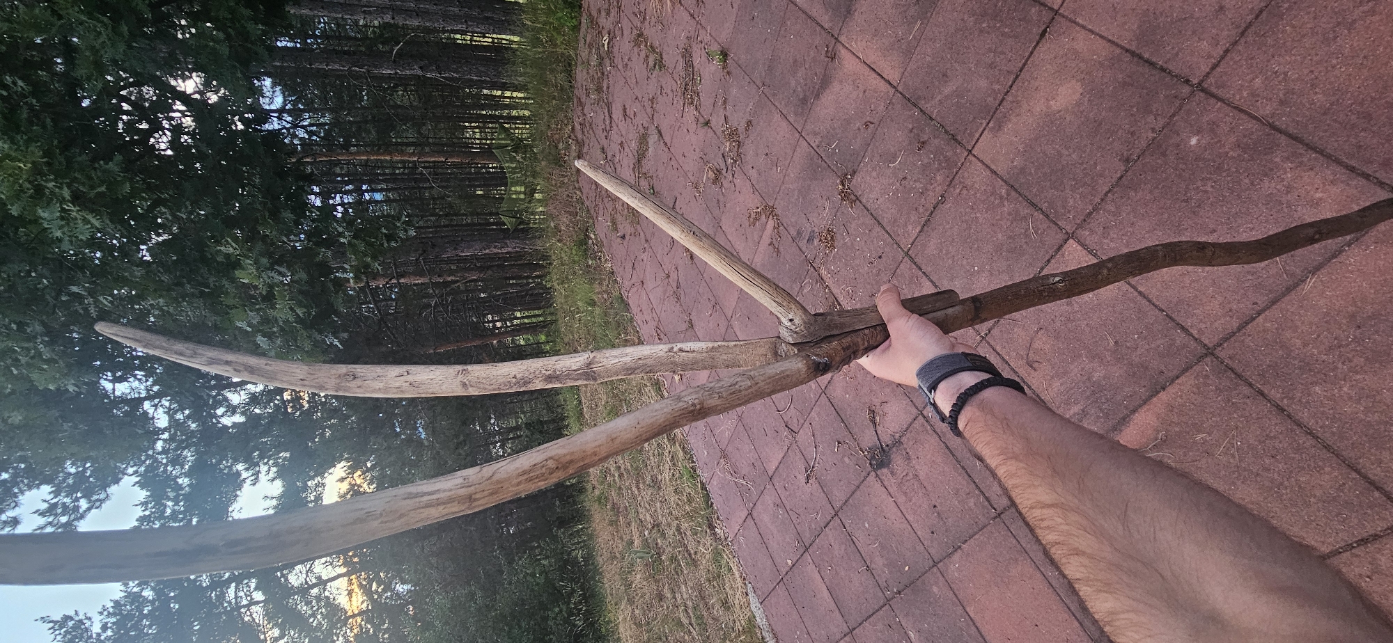 In Momin Prohod, Bulgaria, an individual's forearm, adorned with a dark grey wristband and a black braided bracelet, is visible holding a roughly assembled wooden tool. The tool is constructed from three weathered branches, joined together at a central point with what appears to be wire or twine. Two branches angle upwards and outwards, while a third, shorter branch extends to the right. The tool's main handle is a longer, curving branch that extends downwards. The ground is paved with red, diamond-shaped tiles. Behind the paved area, dry grass and sparse vegetation lead to a dense forest of pine trees. A green hammock is visible suspended between trees in the background. The sky appears to be a pale blue with hints of sunset colors.