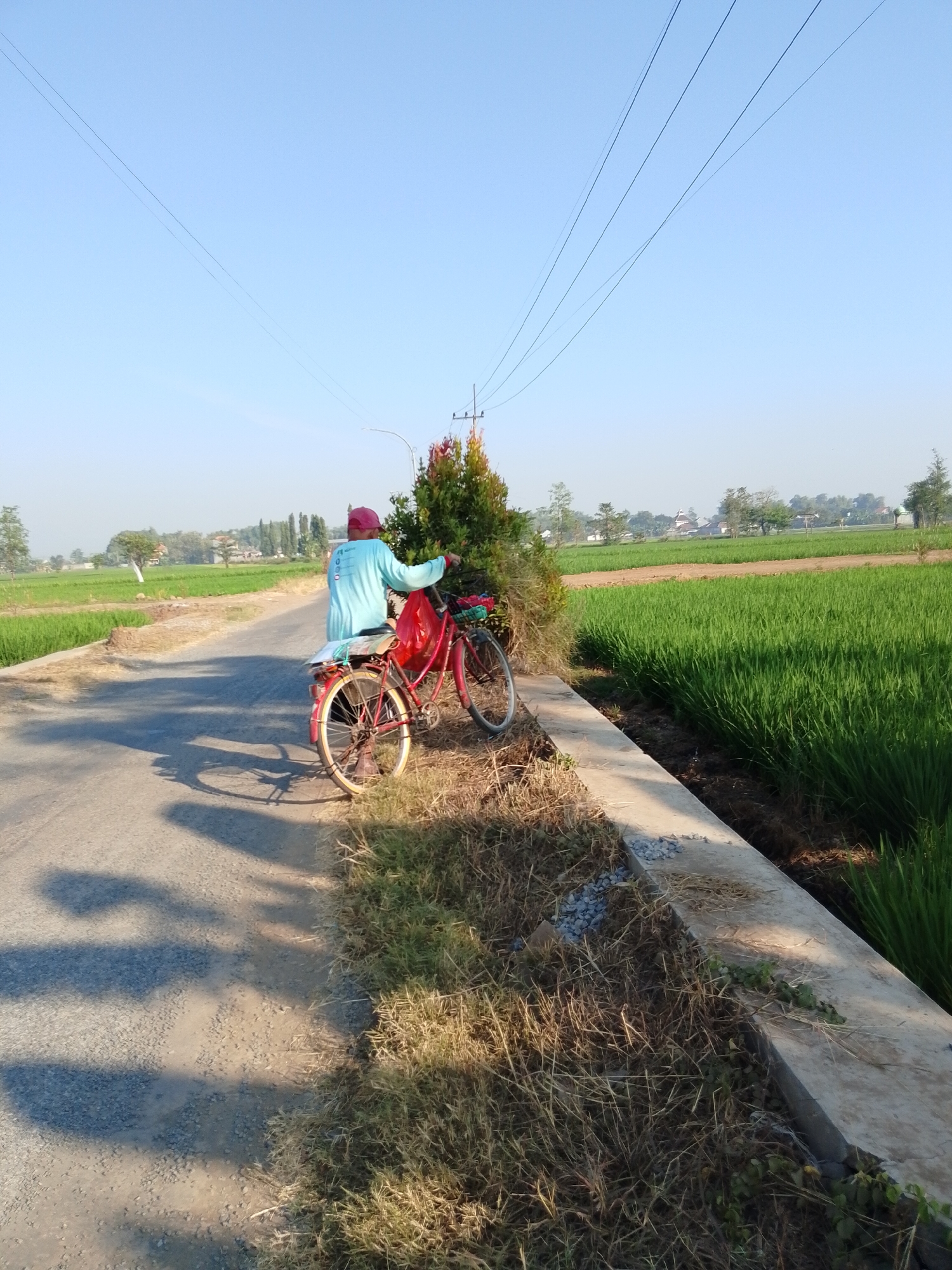 A person wearing a blue long-sleeved shirt and a maroon cap stands next to a red bicycle on a dirt road. The bicycle has a red bag attached to the front and items secured to the rear rack. The person is looking away from the camera, towards a green rice paddy field on the right side of the road. The field is bordered by a concrete embankment. Trees and houses are visible in the background, under a clear blue sky. The scene appears to be in Manik Rejo, Indonesia, likely during the morning or late afternoon given the long shadows cast by the bicycle and person.
