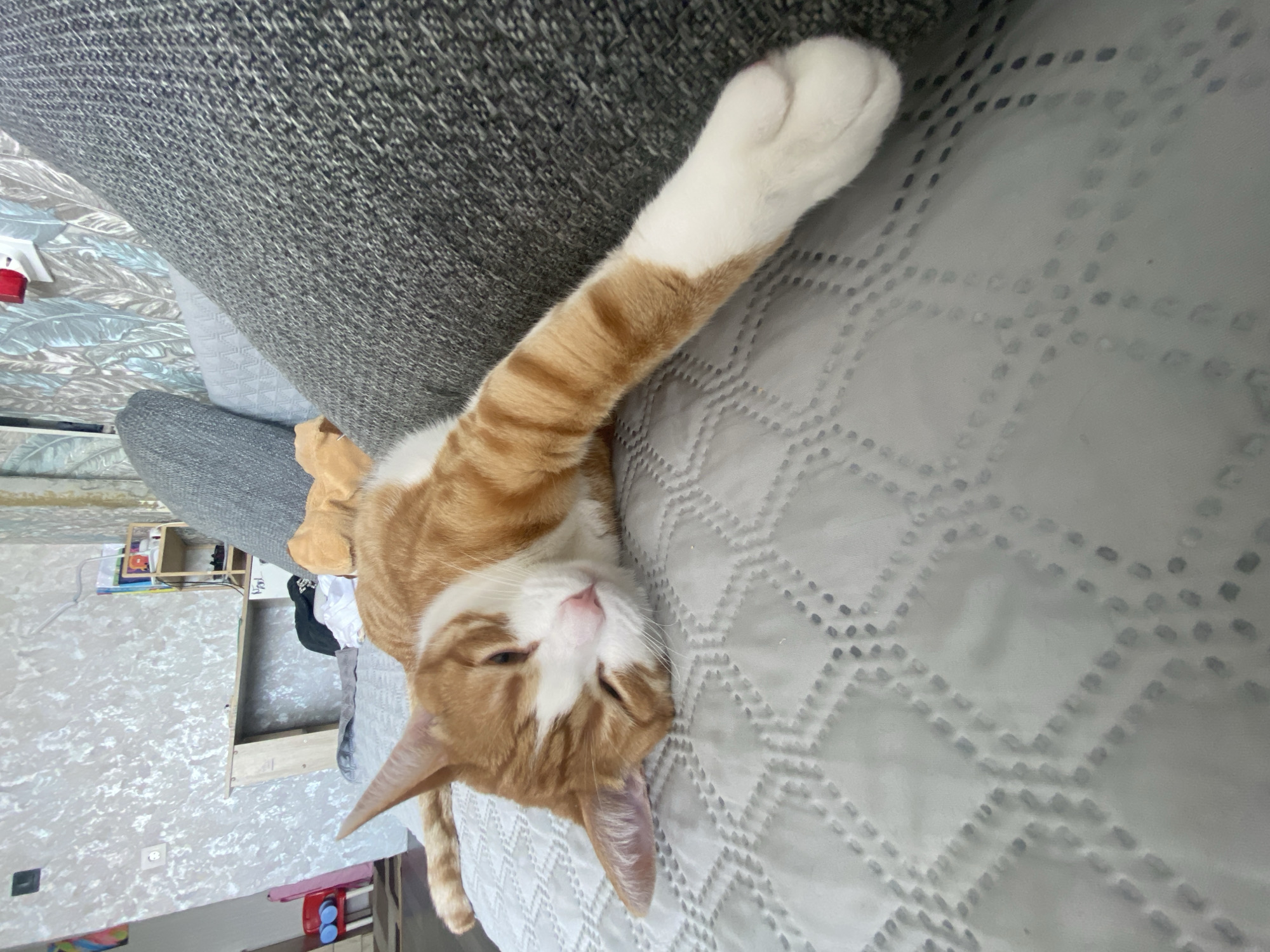 An orange and white tabby cat is lying on its side on a grey patterned sofa. Its eyes are partially closed, and its head is resting on the sofa. The cat's front right paw is extended forward. In the background, there are pillows and a patterned wallpaper. The scene appears to be indoors, possibly in a living room.