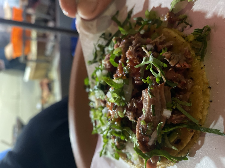 A person holds a taco filled with braised meat, onions, and cilantro. The taco is served on a yellow corn tortilla atop a white paper liner. In the blurred background, there's an outdoor cooking setup with a reflective surface. The person's hand is partially visible, suggesting they are about to eat the taco.