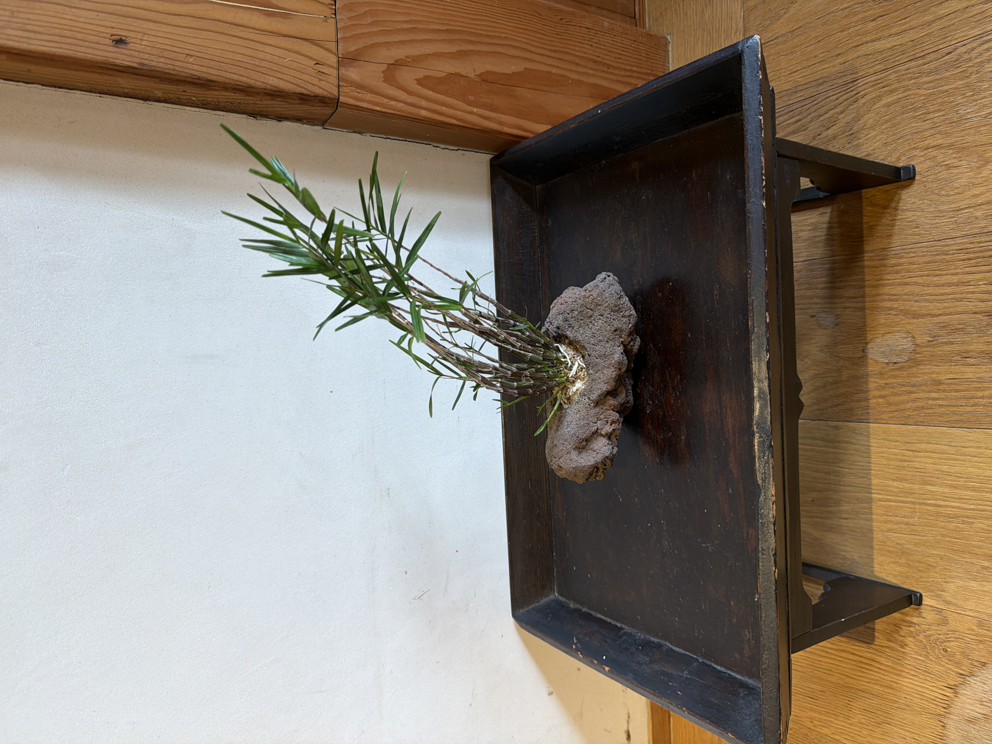 An arrangement of a small plant on a rock sits on a dark wooden tray on a low, dark wooden table. The table is on a light-colored wooden floor. Behind the table is a white wall and to the right is a wooden beam. The scene appears to be indoors, in a room with natural light. The plant is green with thin leaves. The rock it is planted on is textured and brown. The wooden tray is rectangular with slightly raised edges and appears to be aged. The table is simple in design with four legs and a flat surface. The white wall is textured and shows some shadows. The wooden beam has a visible wood grain. The lighting suggests a daytime setting. The scene is static and does not depict any action or interaction. The location is not specified in the image.