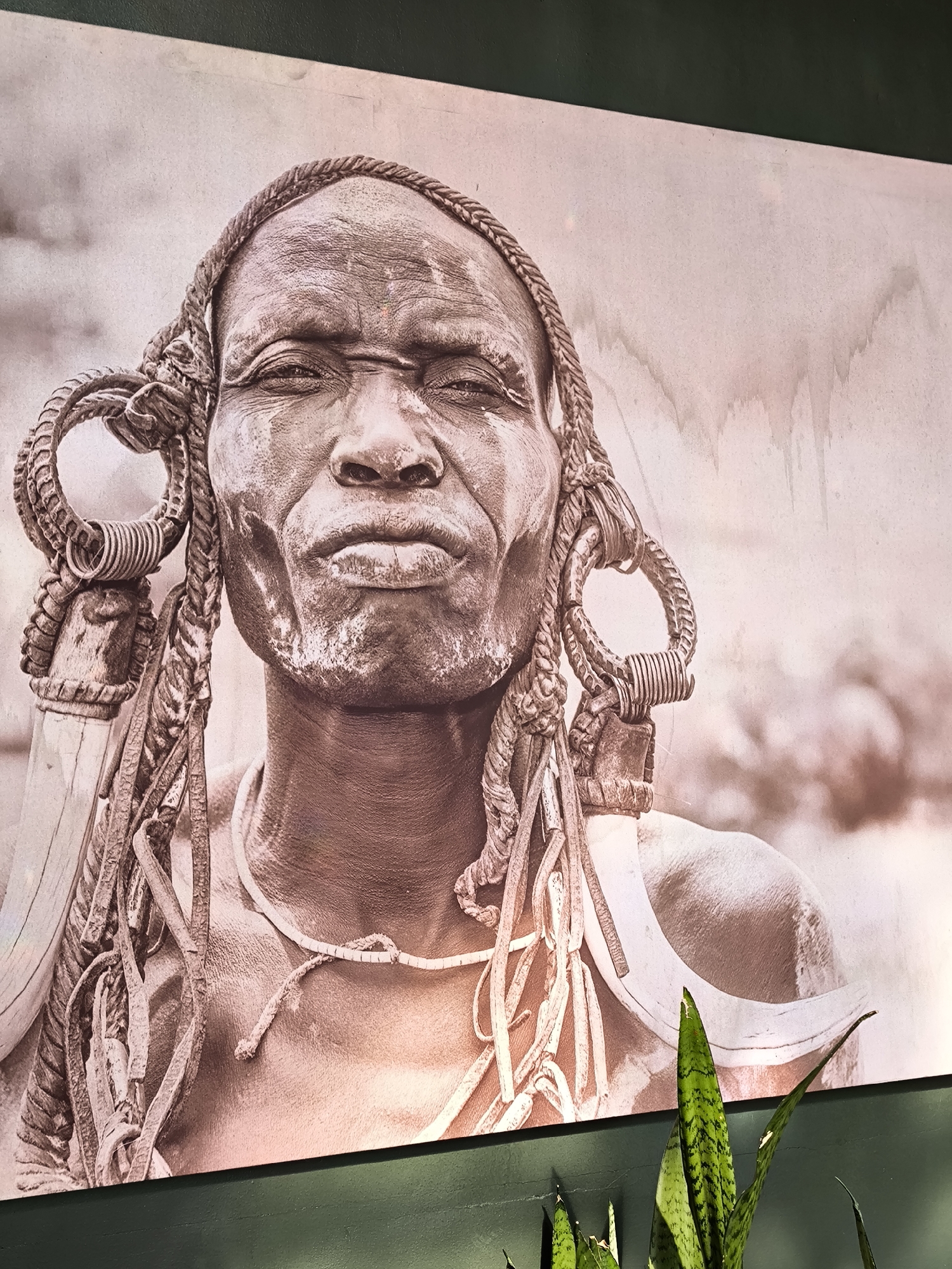This is a sepia-toned photograph of a close-up portrait of an individual from an indigenous culture. The subject is depicted from the chest up, with their face centered in the frame. They have dark skin and are wearing elaborate headwear and jewelry. Their hair is styled in braids that are twisted and adorned with large, circular ornaments made of woven material and metal rings. The subject's face is weathered, with prominent lines around the eyes and mouth. Their eyes are partially closed, and their expression is neutral or solemn. They are wearing a simple necklace.
The background is softly blurred, suggesting an outdoor setting, possibly with a cloudy or overcast sky, rendered in a muted tone. There are subtle, abstract vertical streaks in the background, which could be part of the photographic effect or indicate water stains on the print itself.
The image is presented as a framed artwork, with the bottom edge of the frame and a portion of a dark green wall visible. In the foreground, at the bottom right of the image, the leaves of a snake plant are visible, obscuring a small part of the artwork.
No text is visible in the image. The overall mood is one of stoic dignity and cultural representation, highlighting the subject's distinctive adornments and facial features.