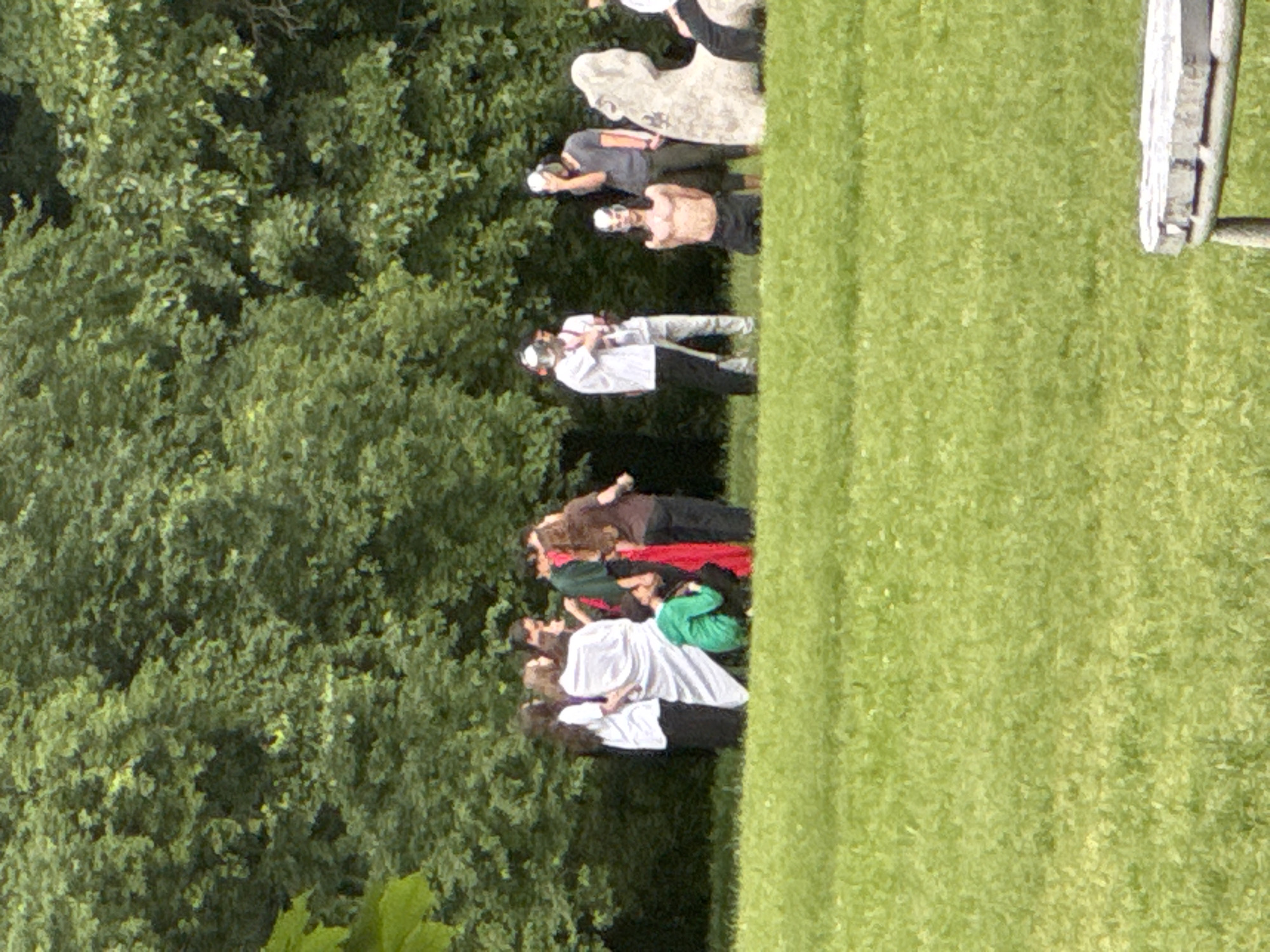 This outdoor image, taken in Sofia, Bulgaria, captures a group of approximately ten to twelve individuals gathered on a grassy area, with dense green foliage and trees in the background. The scene appears to be set during daytime, with ample natural light suggesting sunny weather.
The subjects are a mix of people, primarily adults, dressed in casual attire. Several individuals are wearing white shirts or tops paired with dark pants, while others are in dark shirts, brown, or green clothing. One person is notably shirtless, wearing dark shorts and a white cap. Another individual stands out in a bright green top, and another in a red skirt or pants. Their postures suggest they are standing around, perhaps conversing or observing. One person in a white shirt and dark pants appears to be holding a long stick or pole.
In the mid-ground, among the people, there are several large, light-colored, irregularly shaped objects, possibly carved stones or sculptures. To the far right of the frame, a metal structure, likely part of a bench or railing, is partially visible. The immediate foreground and right side of the image consist of a neatly maintained green lawn.
No specific dominant activity is evident, but the arrangement of people suggests a social gathering, an outdoor event, or perhaps a group preparing for or concluding some activity. No legible text is visible in the image.